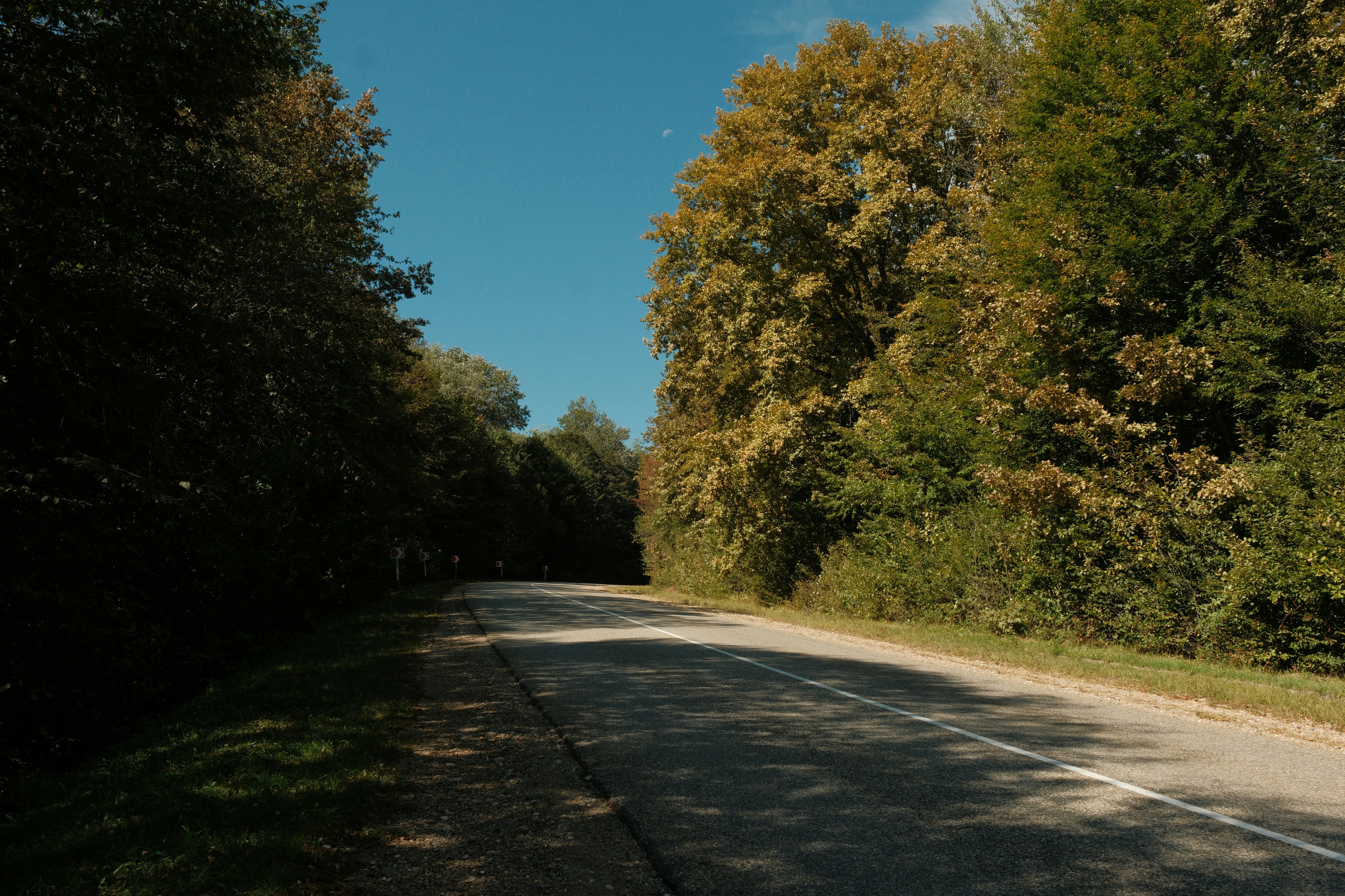 Photo by nikan_tanya