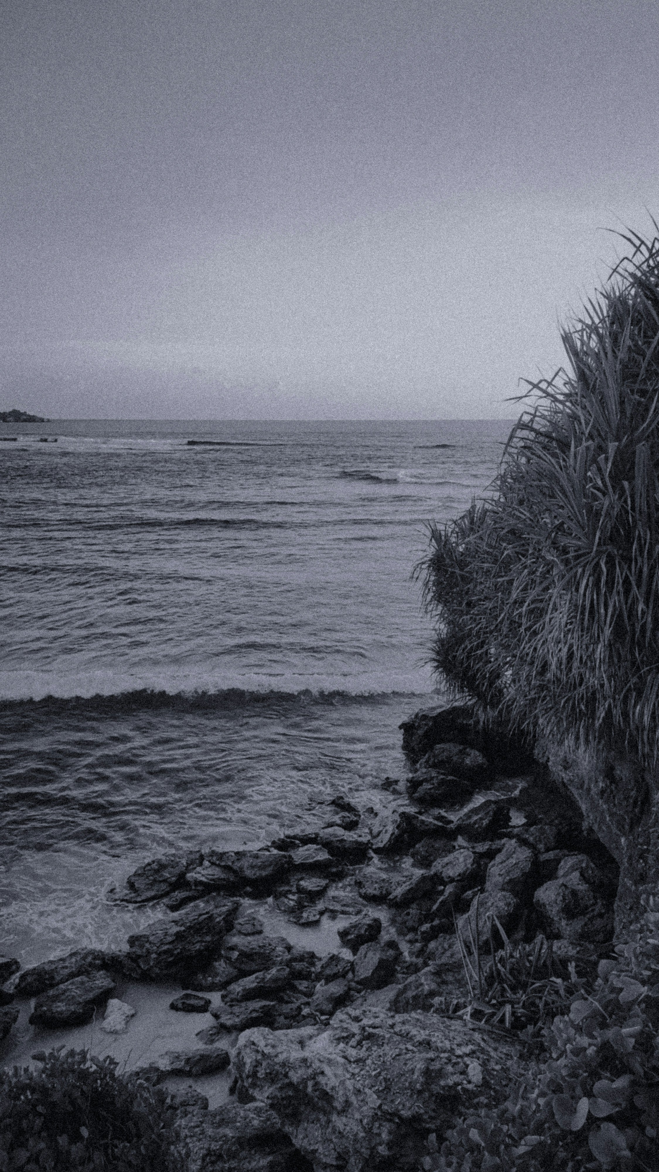 Rocky coastline with ocean waves and lush foliage