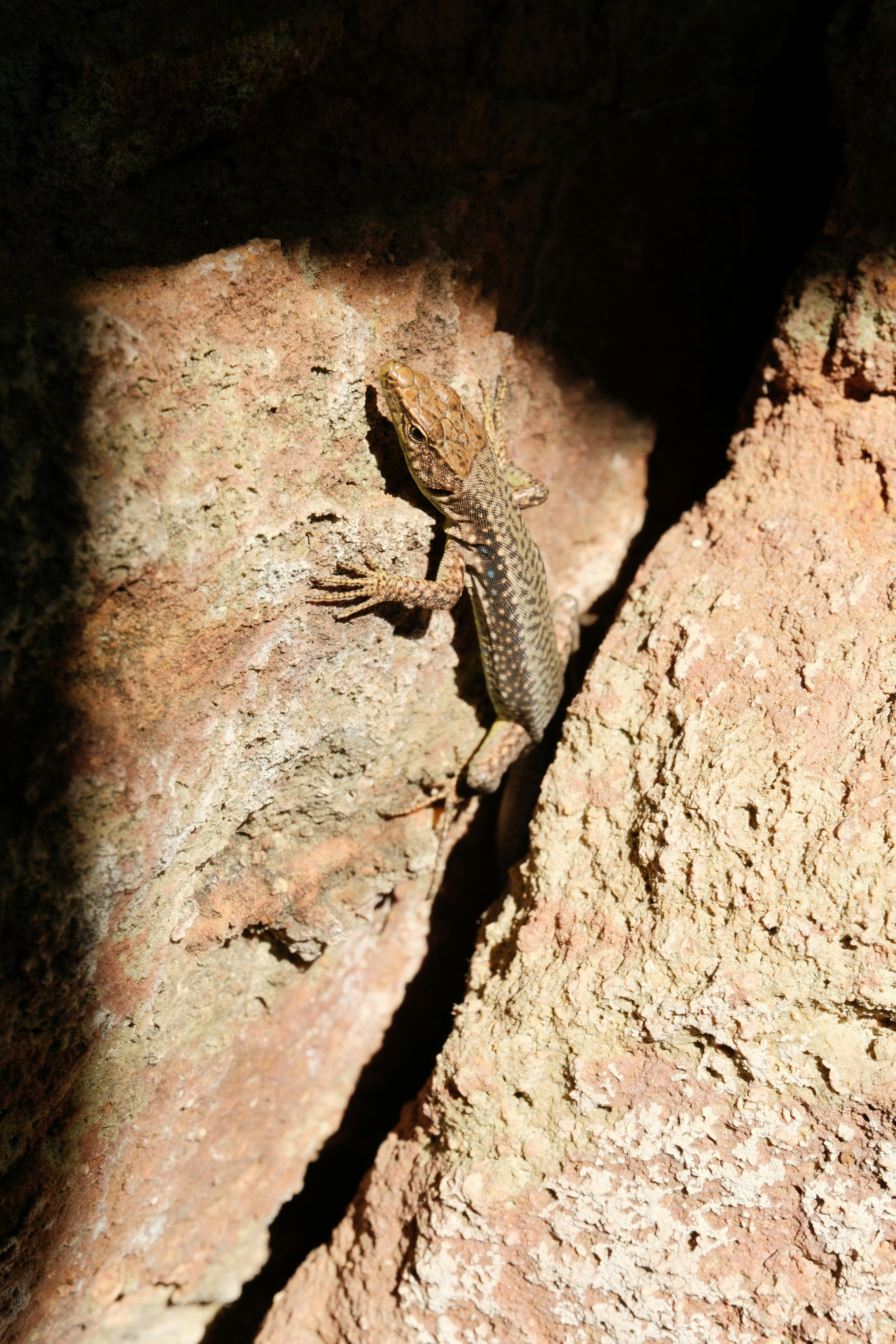 Photo by nikan_tanya