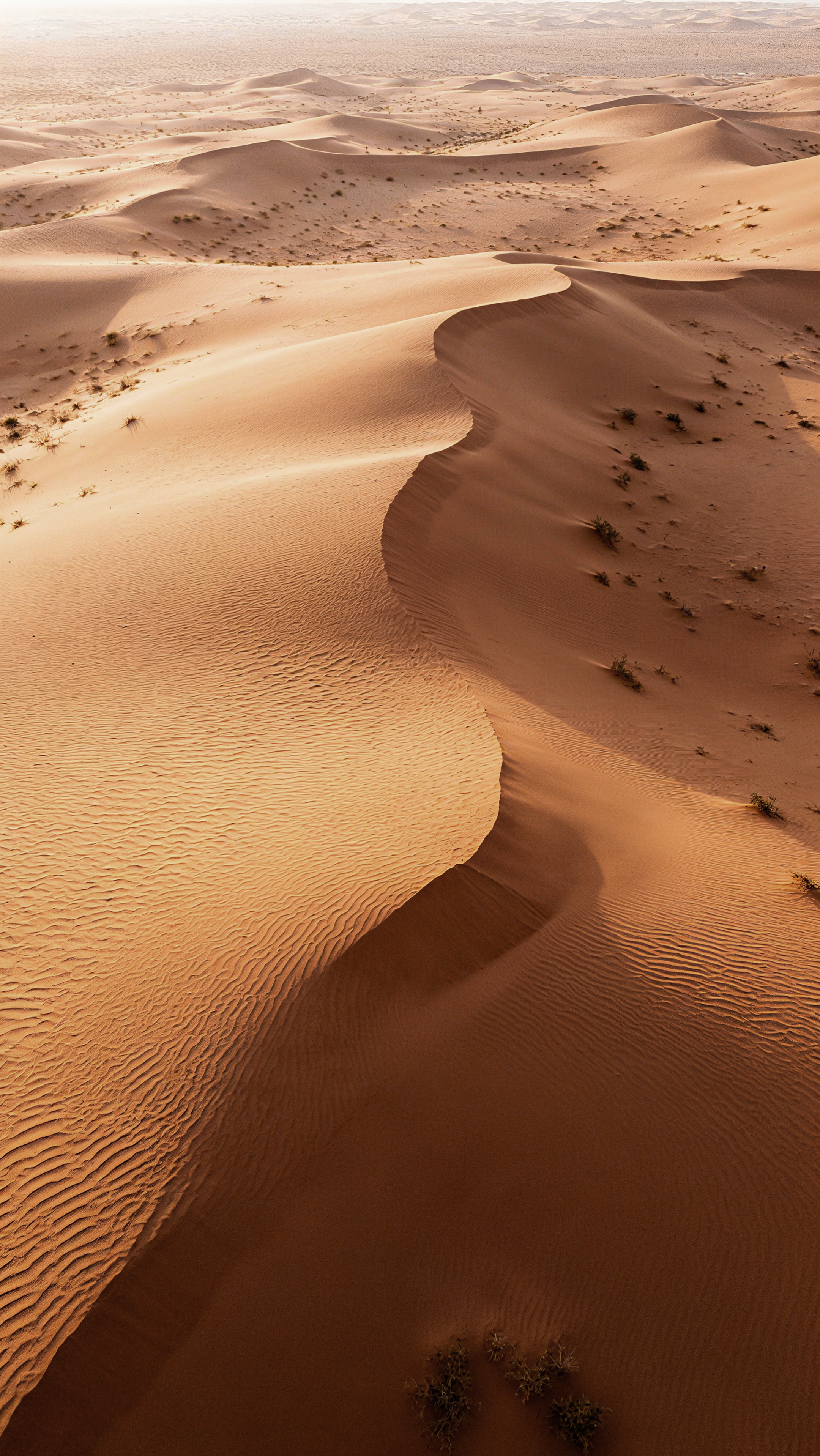 Goldene Sanddünen unter dunstigem Himmel