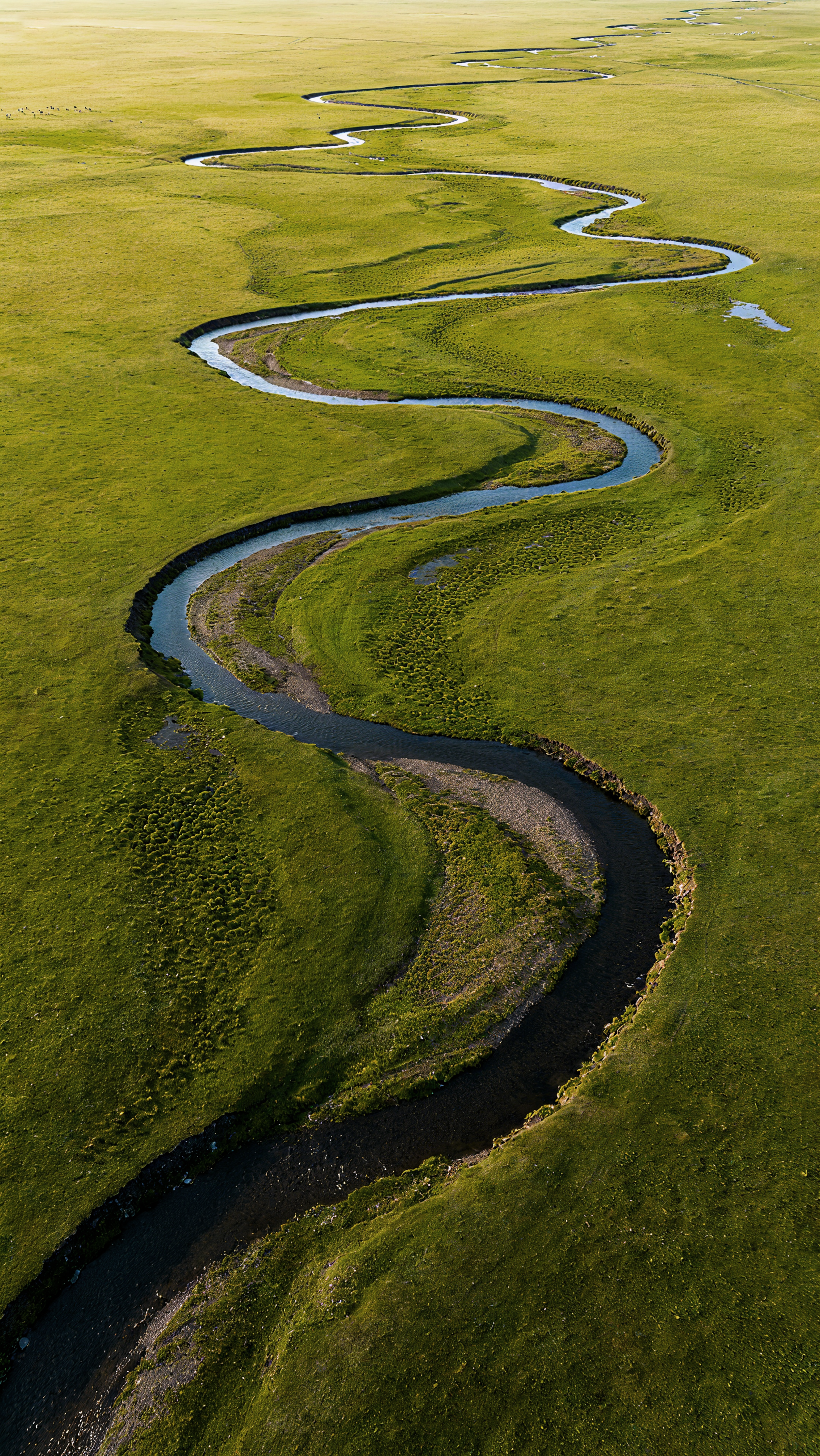 Ein gewundener Fluss fließt durch eine weite grüne Wiese.