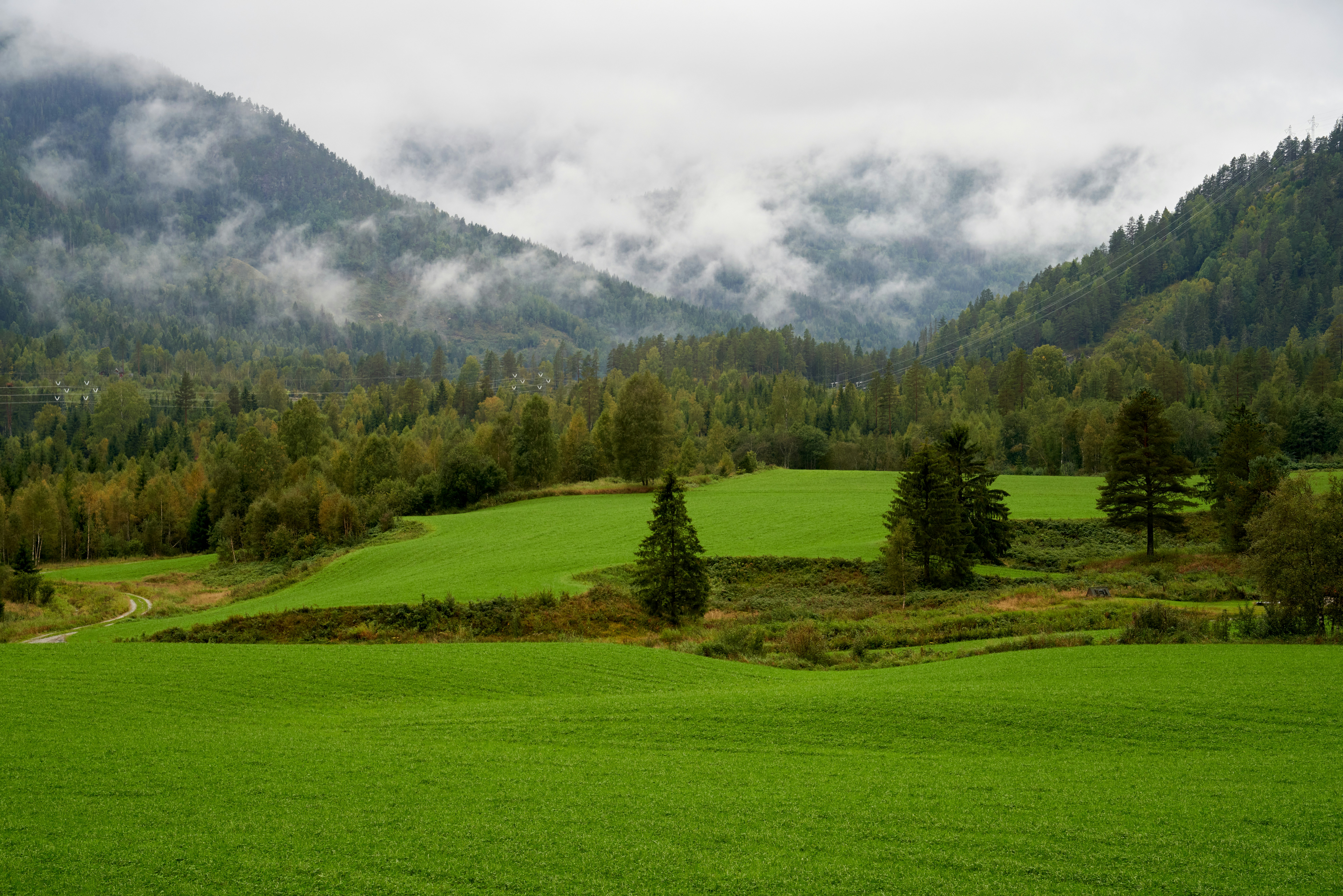 Photo by davotibarna