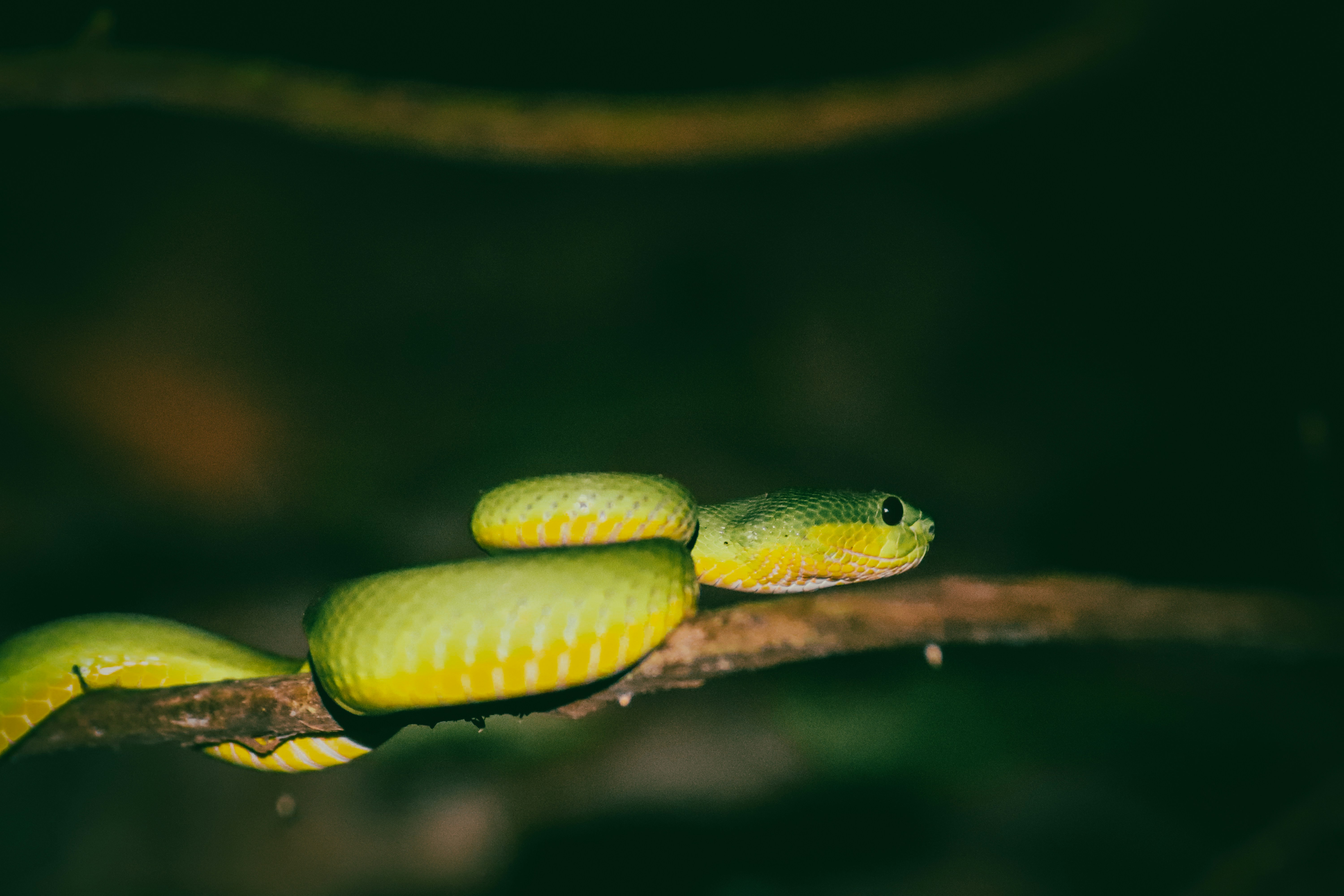 Photo by adityarizqiqa_