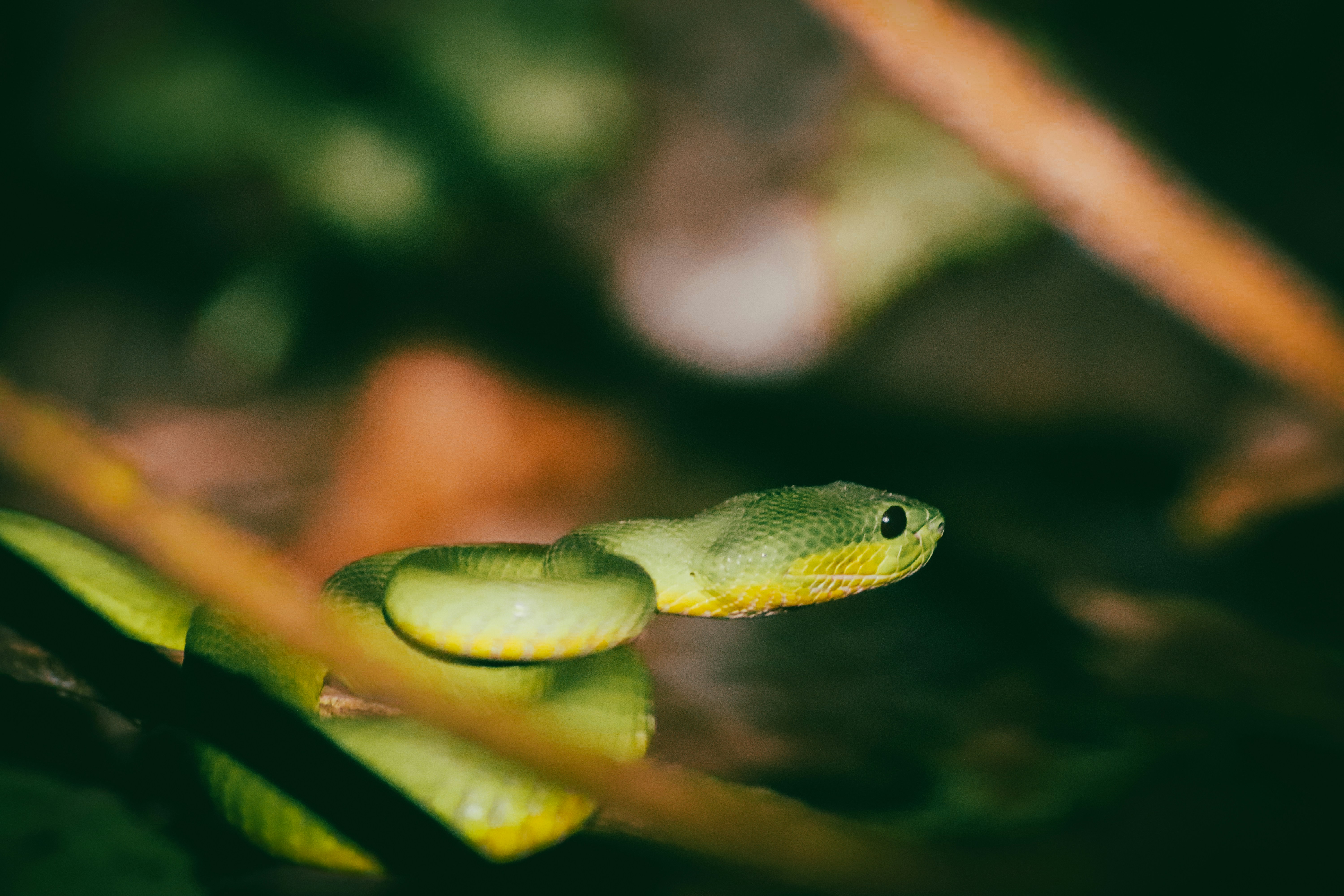 Photo by adityarizqiqa_