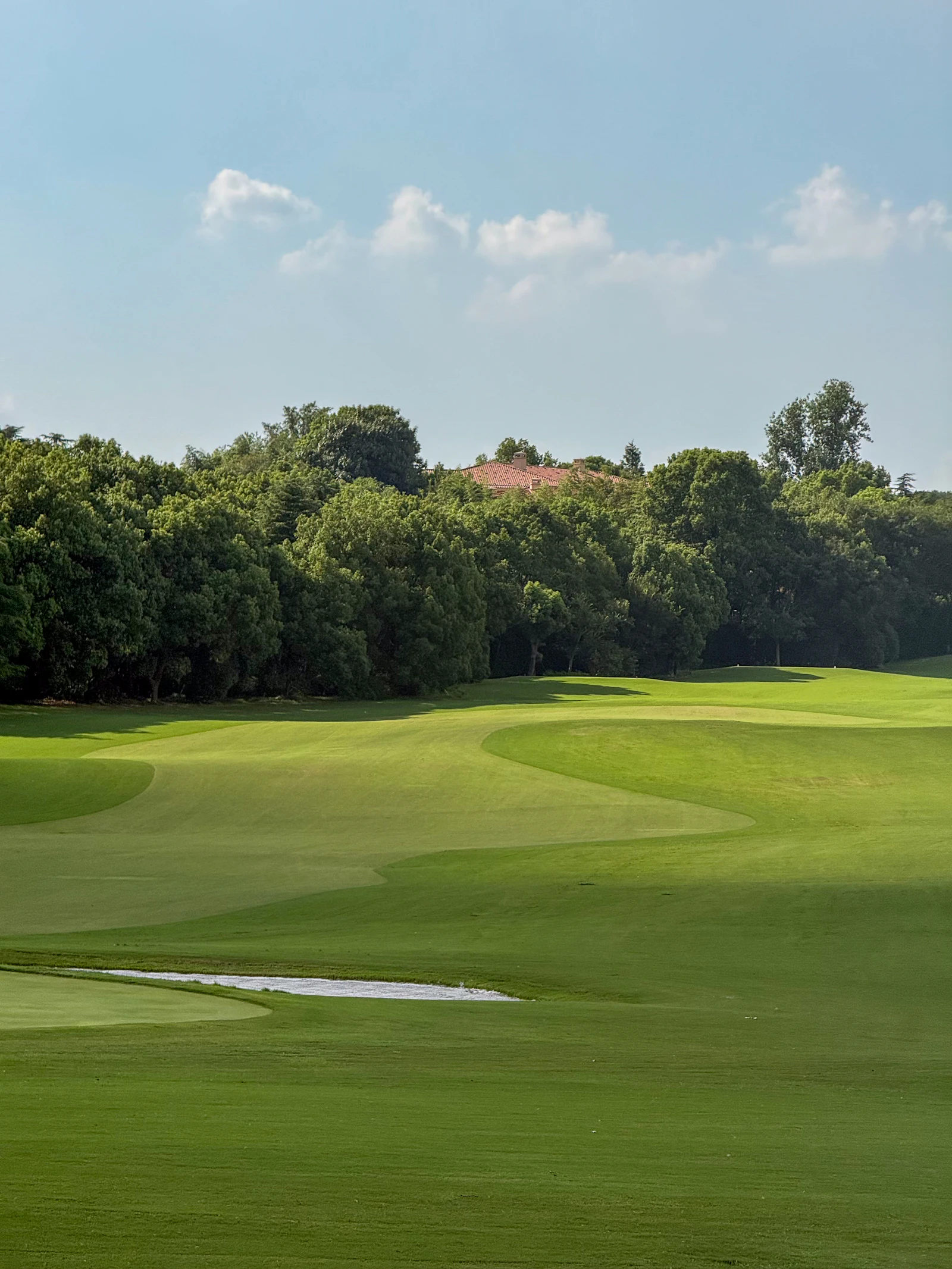 Golf course with trees under a blue sky