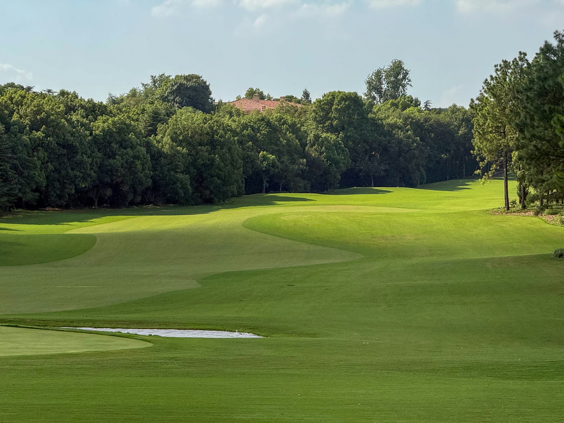A lush green golf course with trees and a pond.