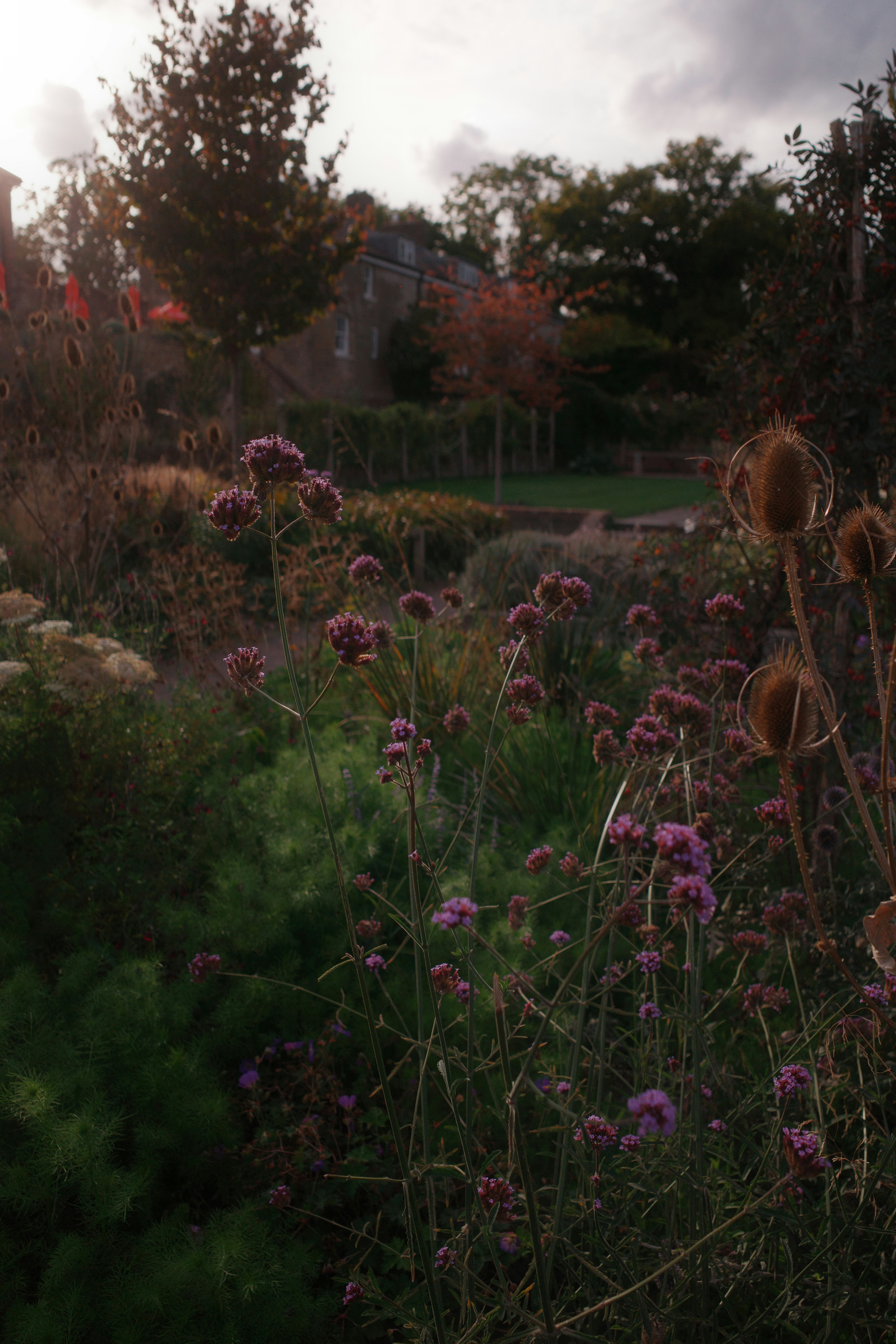 Photo by ilincaroman