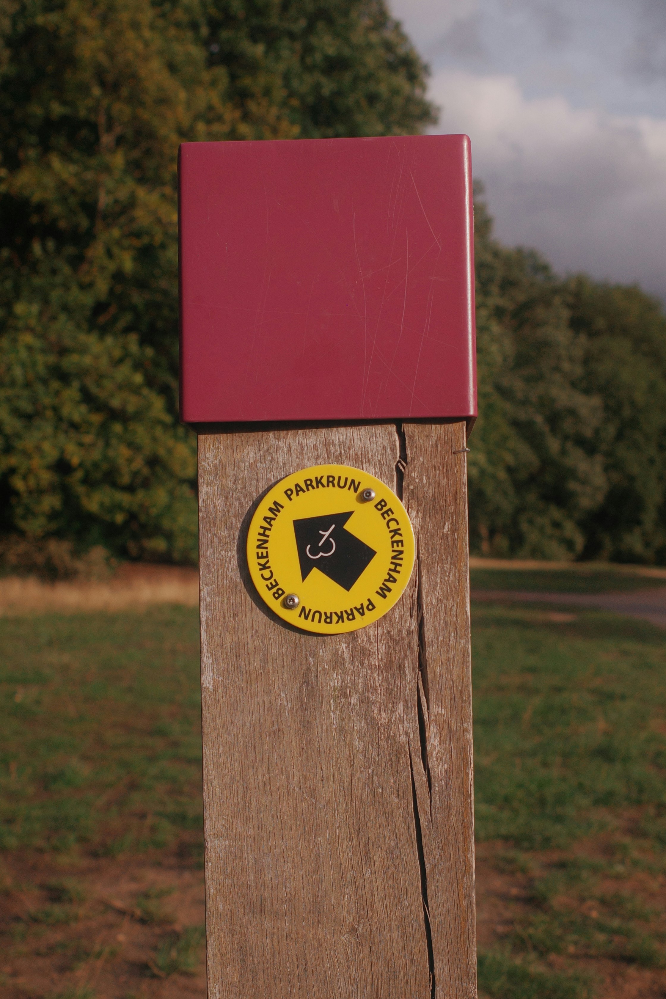 Photo by ilincaroman