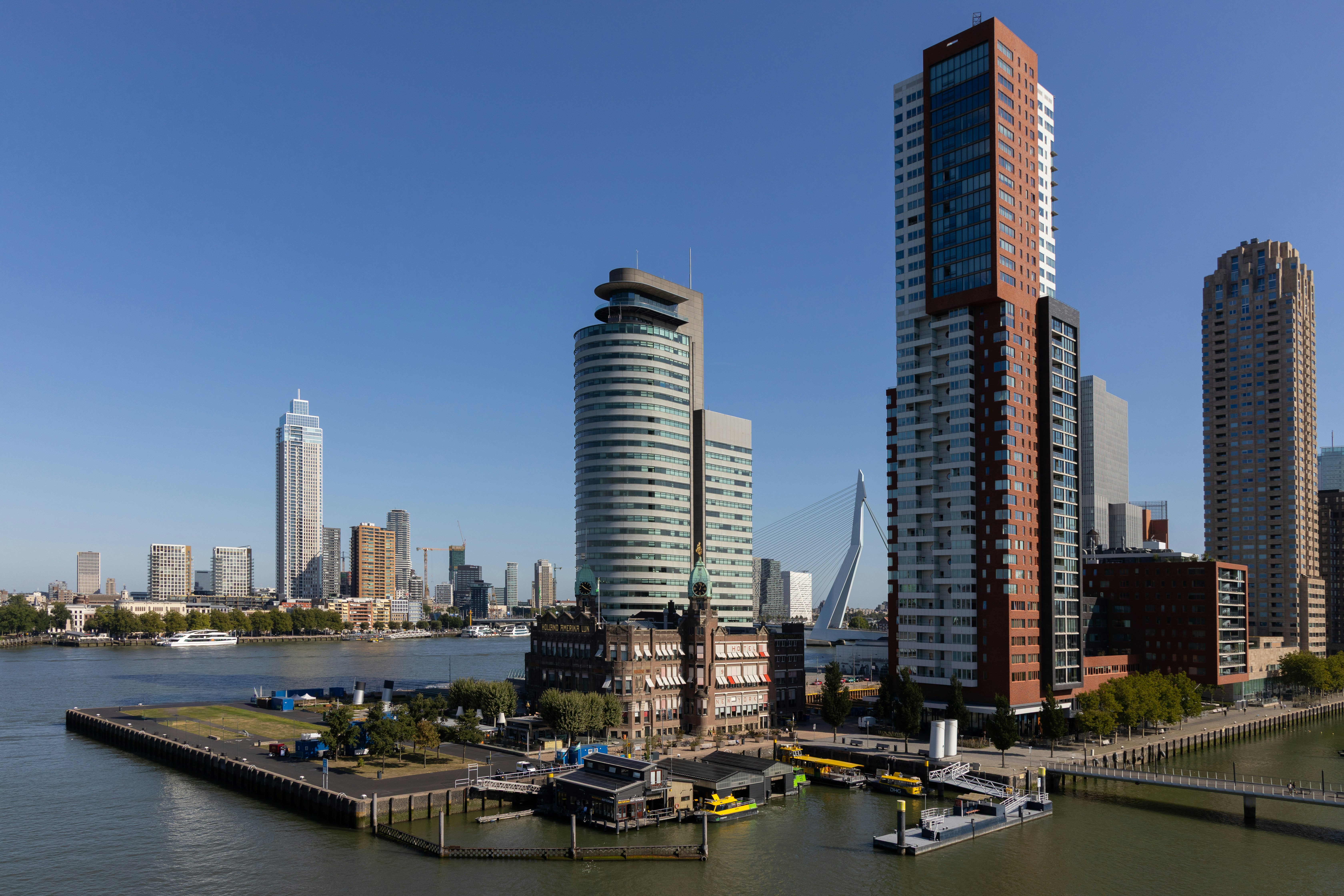 Rotterdam'ın modern mimarisi ve Erasmus Köprüsü manzarası eşliğinde profesyonel iş dünyasını ve kariyer gelişim fırsatlarını temsil eden bir görsel.