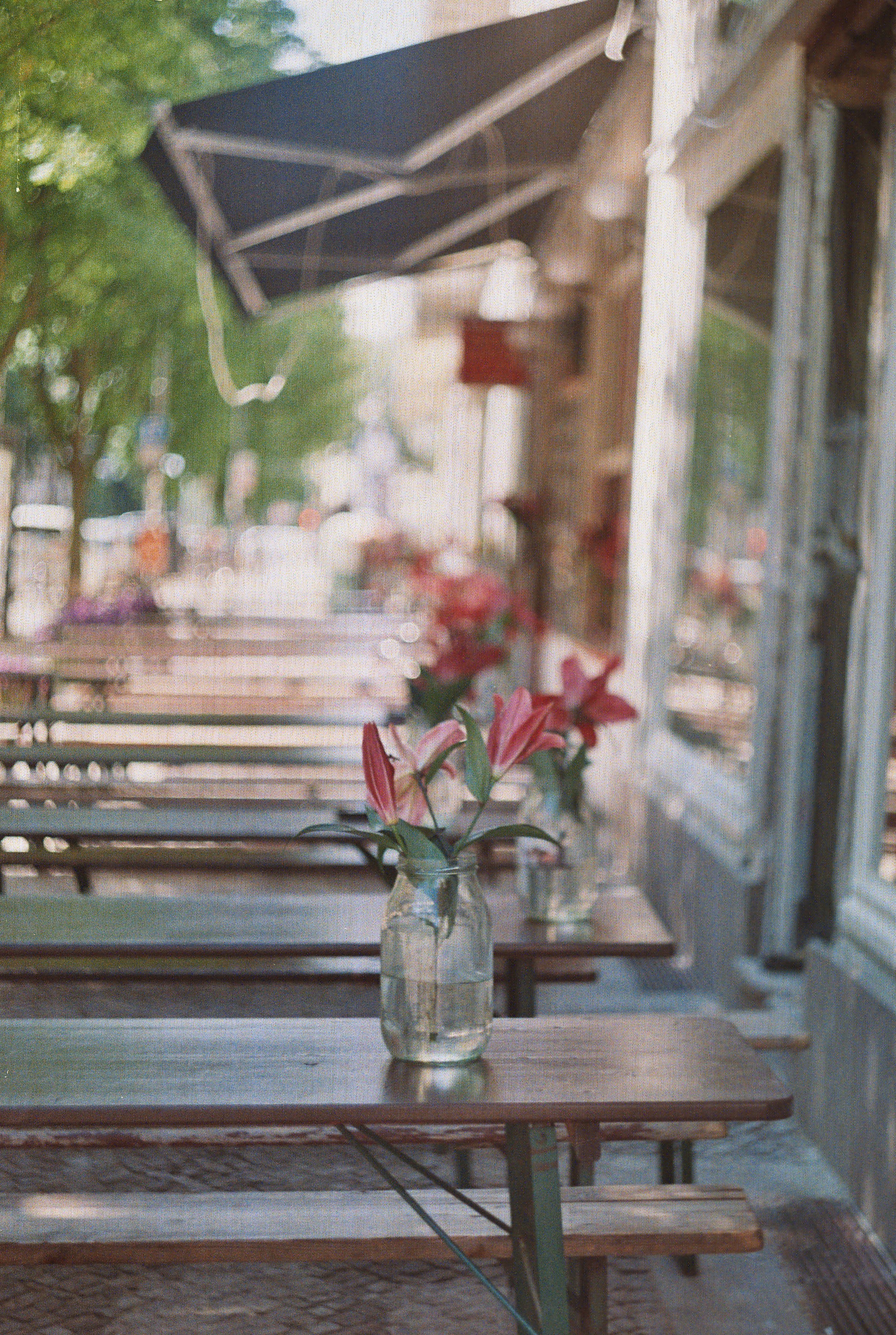 Photo by ilincaroman