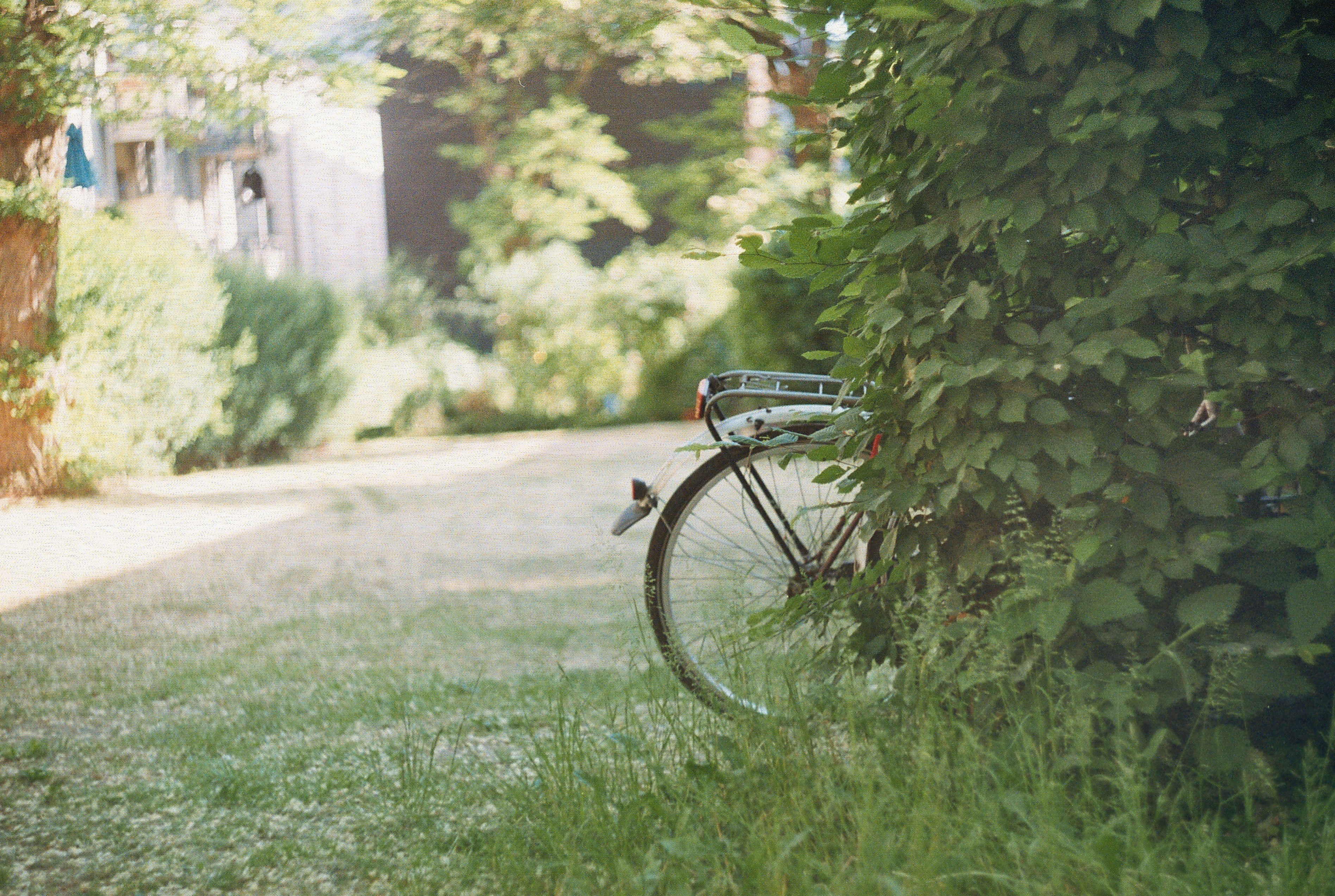 Photo by ilincaroman