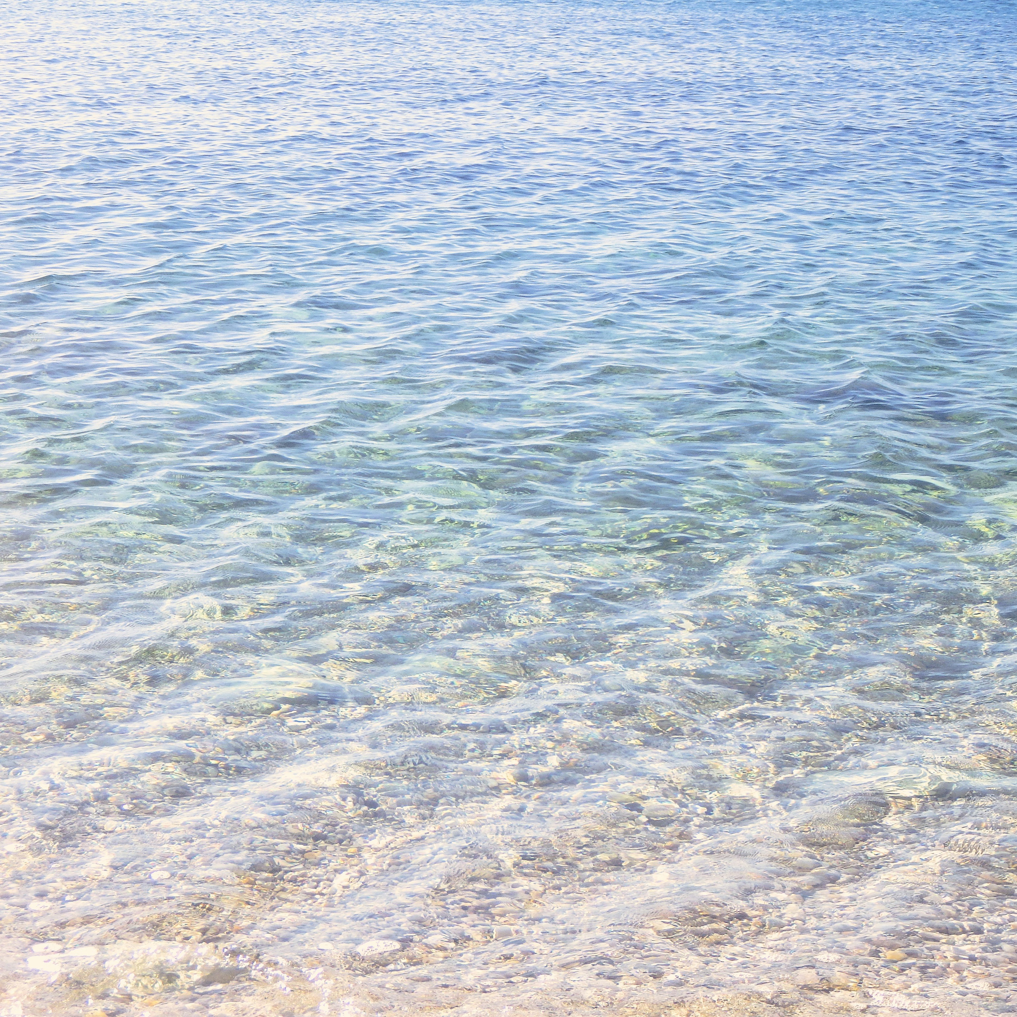 Photo by dominapetric