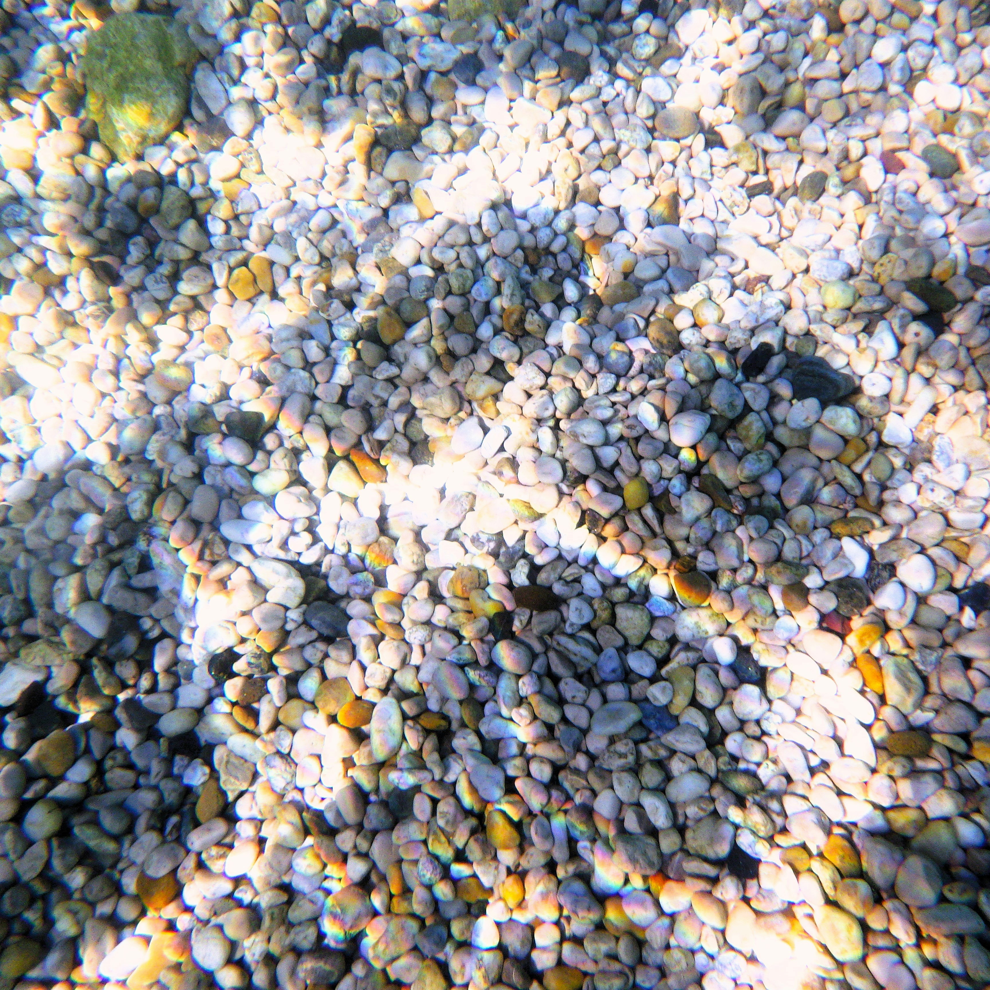Pebbles on the seabed under clear water photo – Free Background Image ...