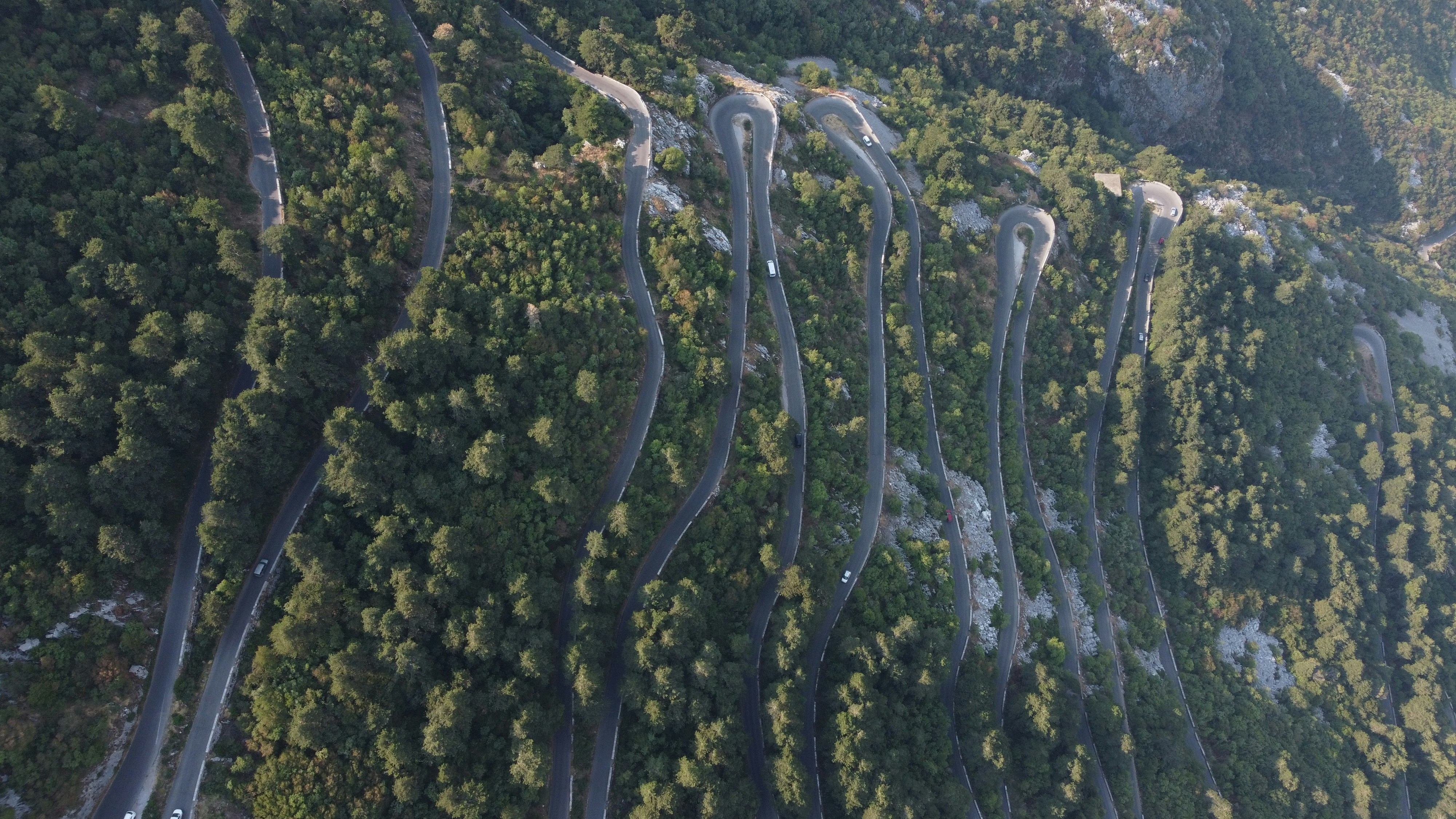 Estrada sinuosa da montanha através de uma floresta densa