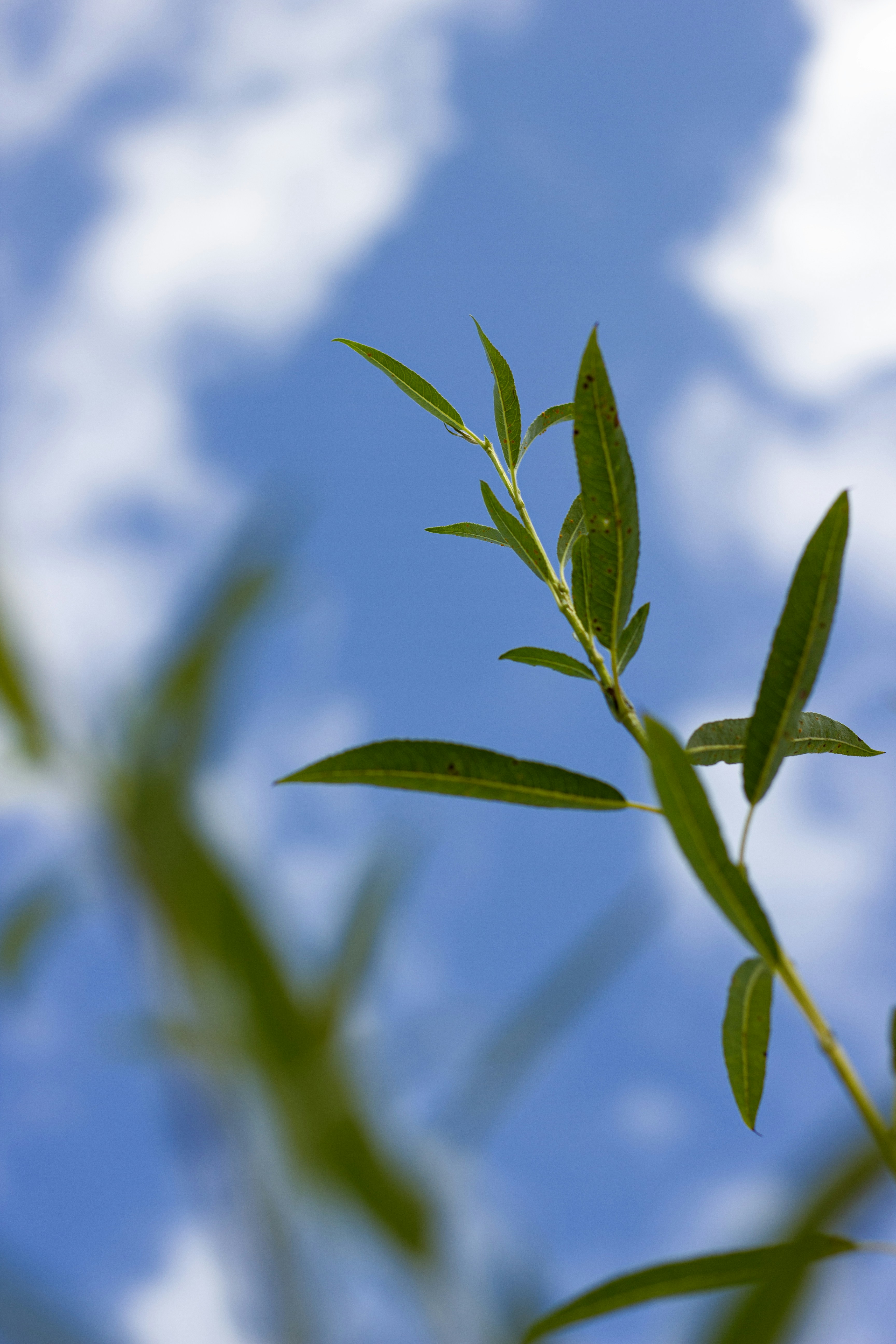 Photo by reinisbruzitis