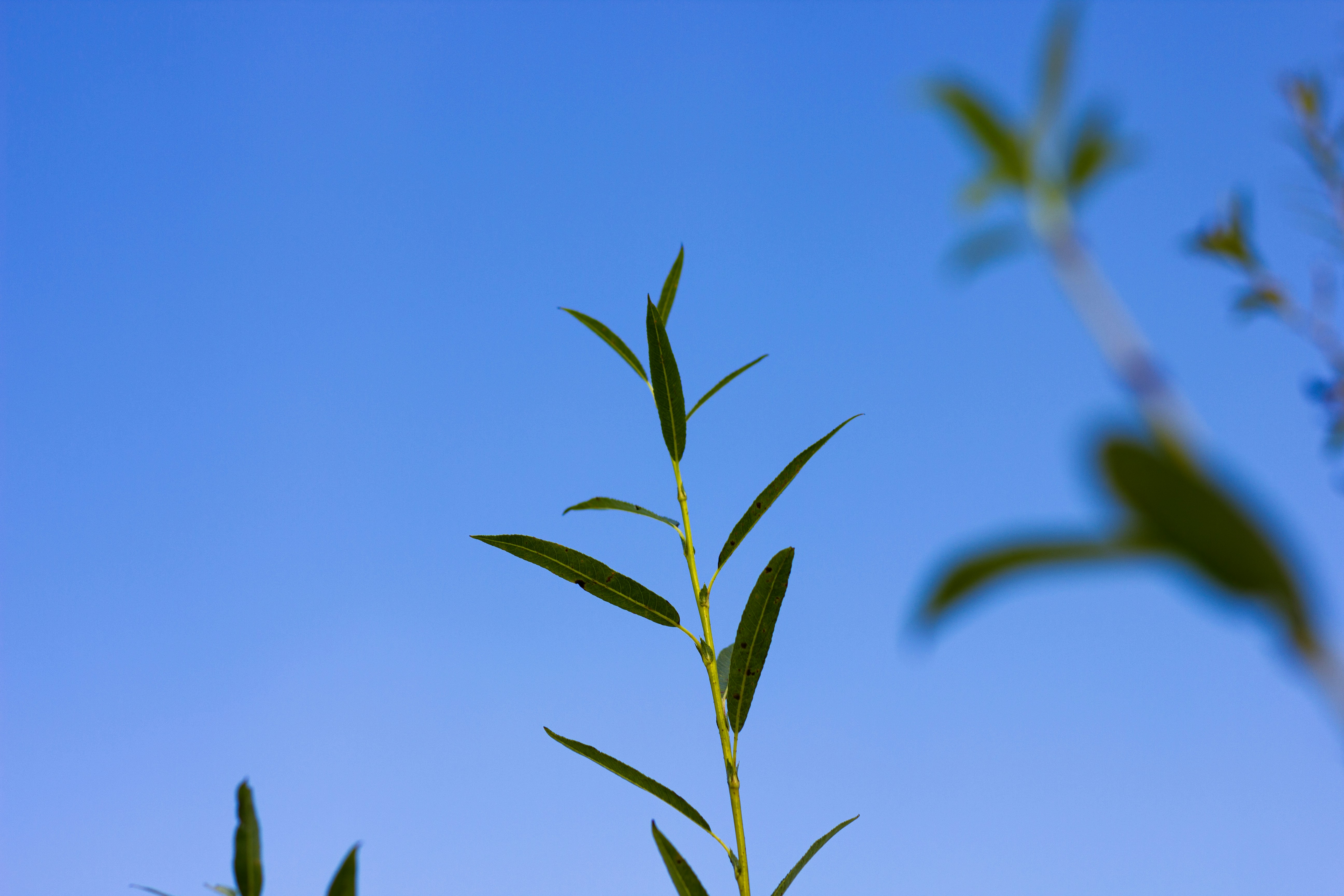 Photo by reinisbruzitis