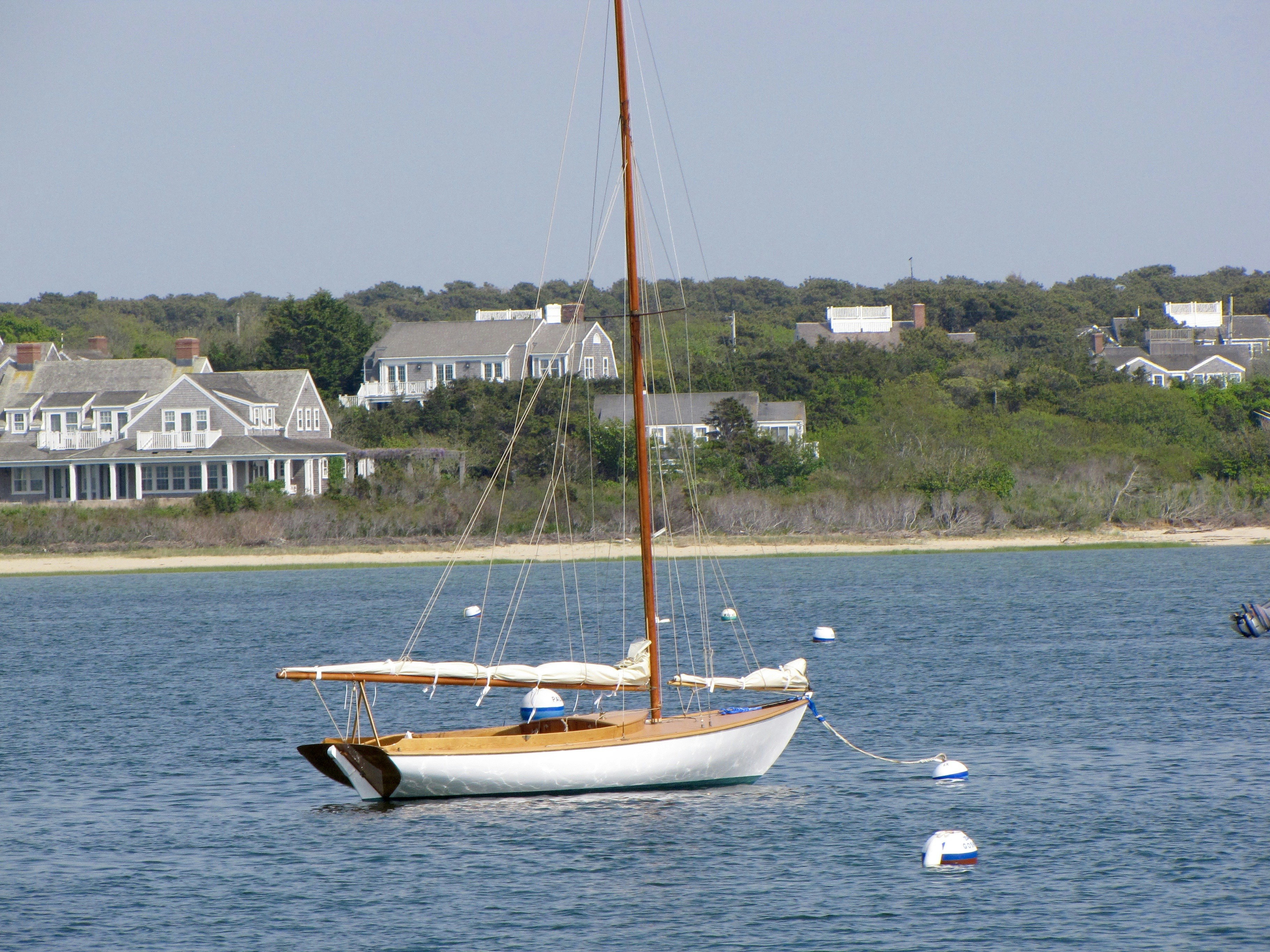 Line of different daysailer sailboat models rigged on trailers at a busy UK sailing club ready for launching.