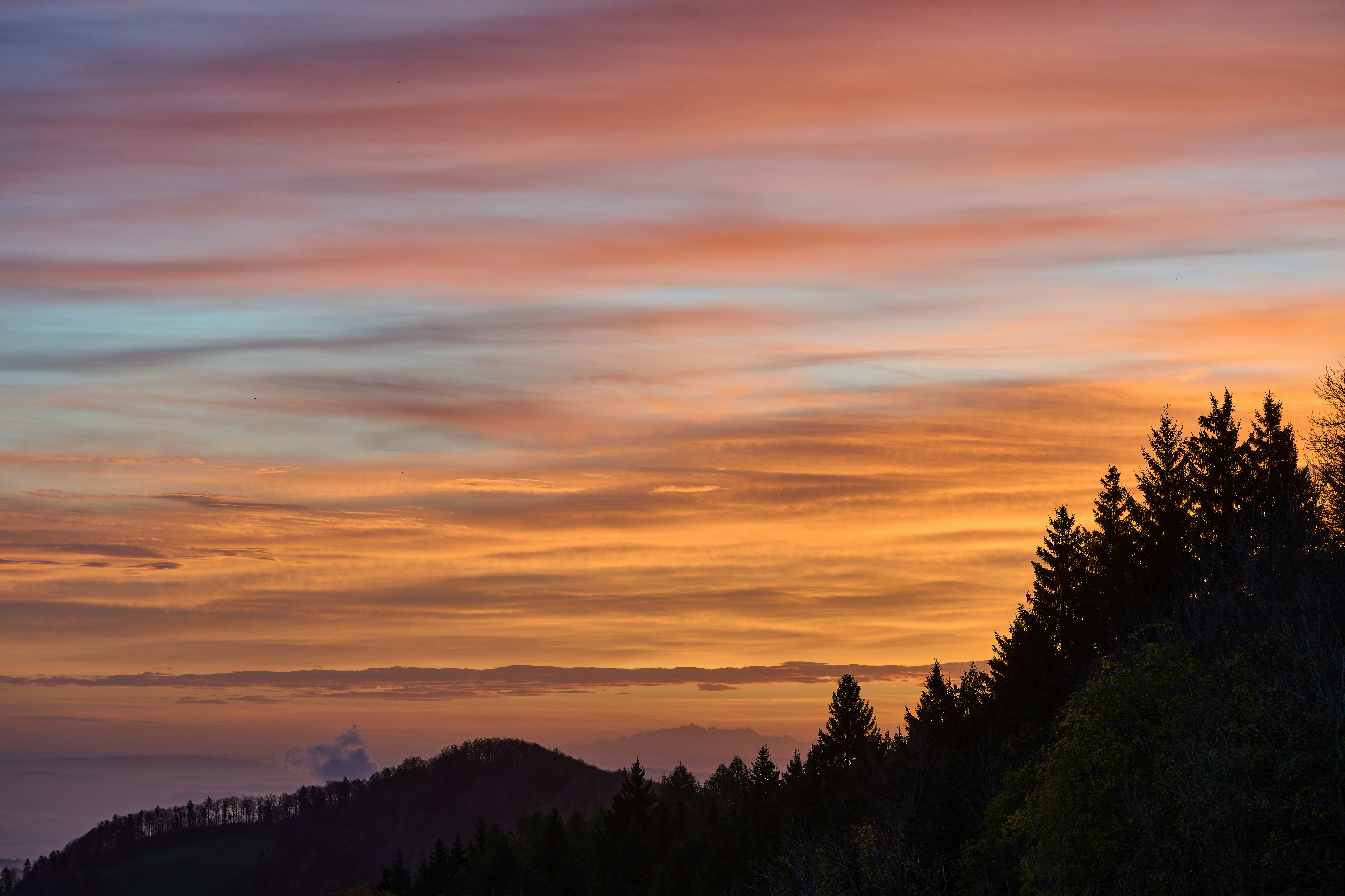 Photo by wolfgang_hasselmann