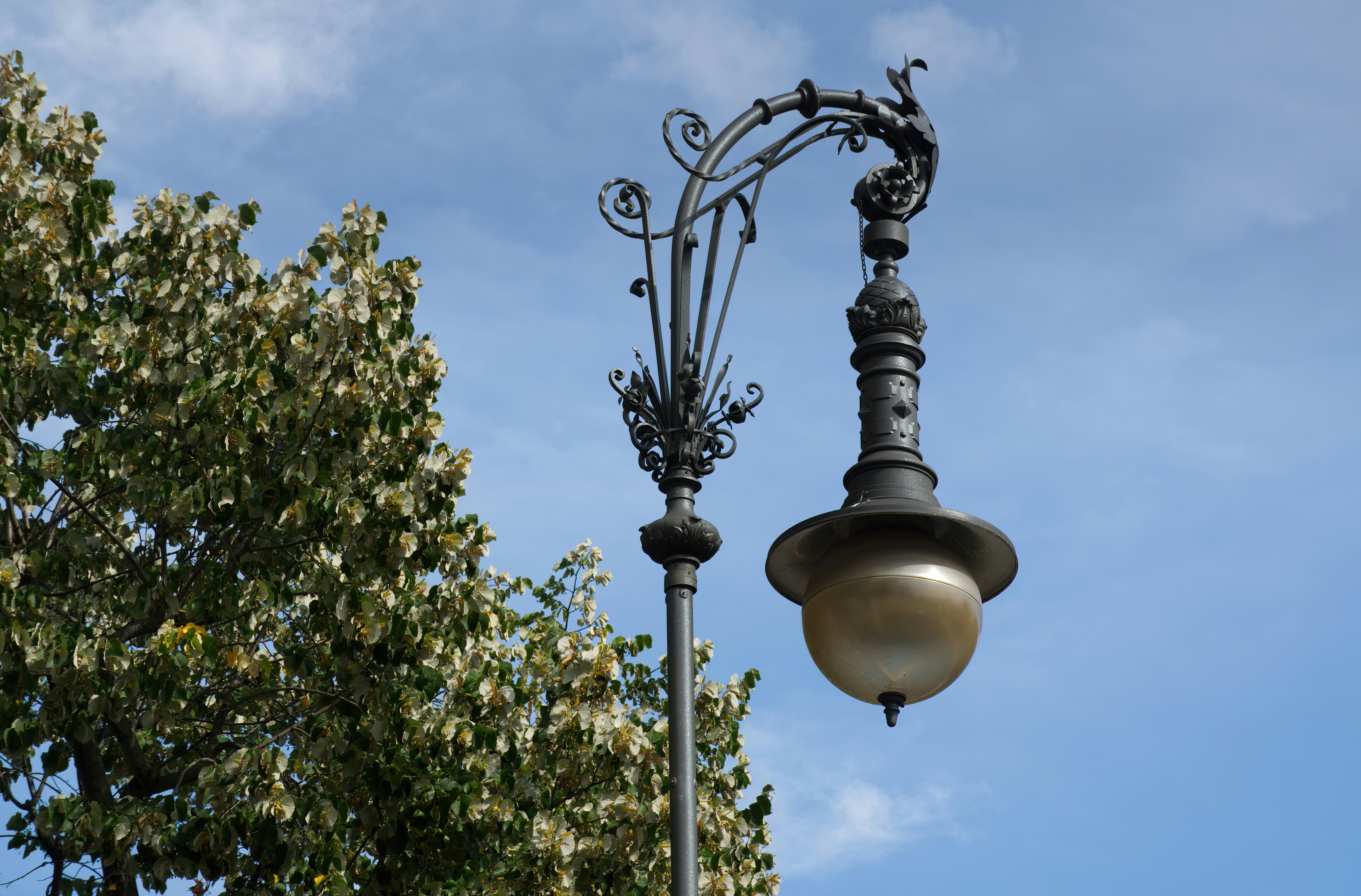 Photo by robbie_taylor