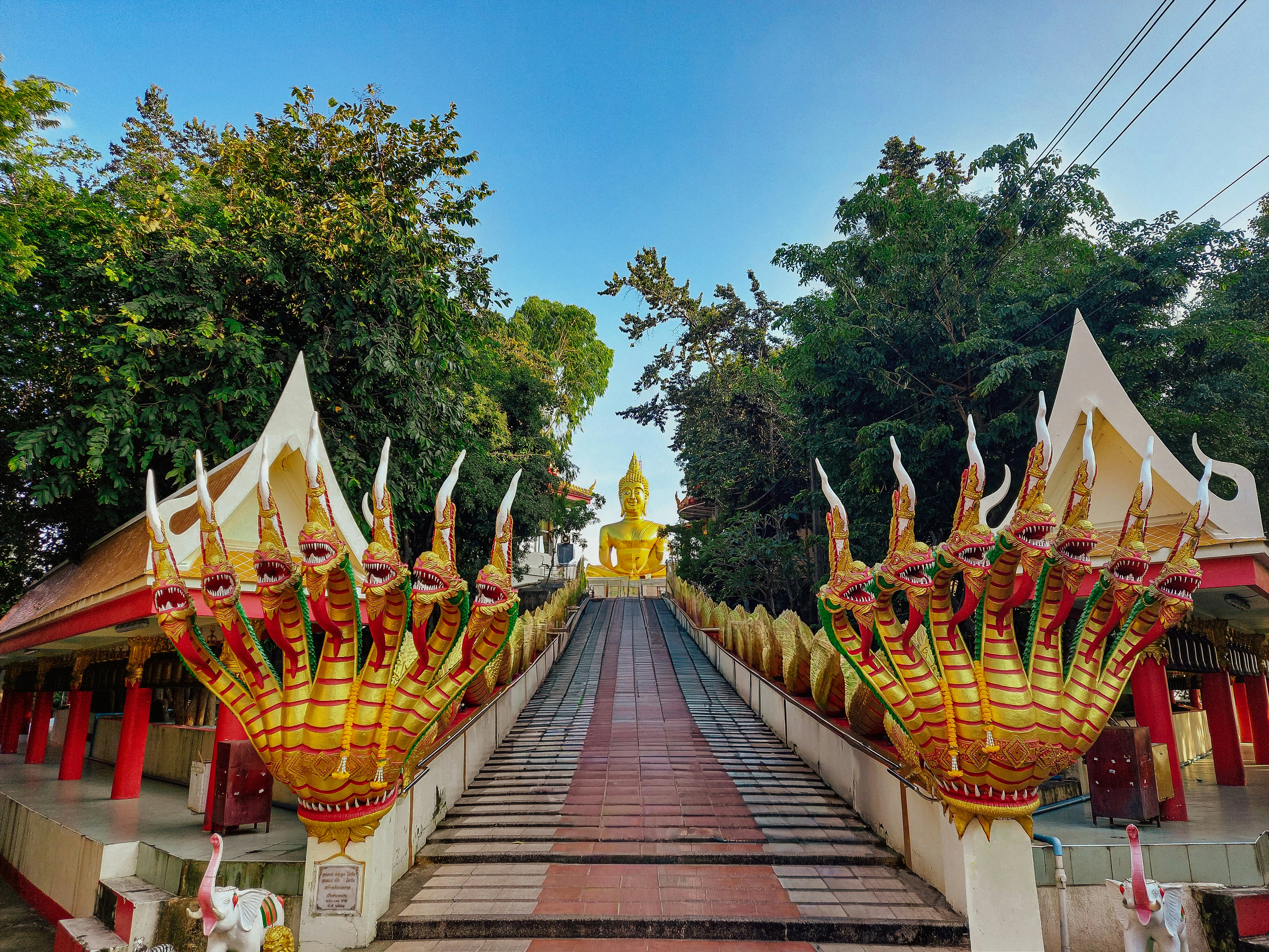 An ancient serpent temple discovered in a lush jungle.