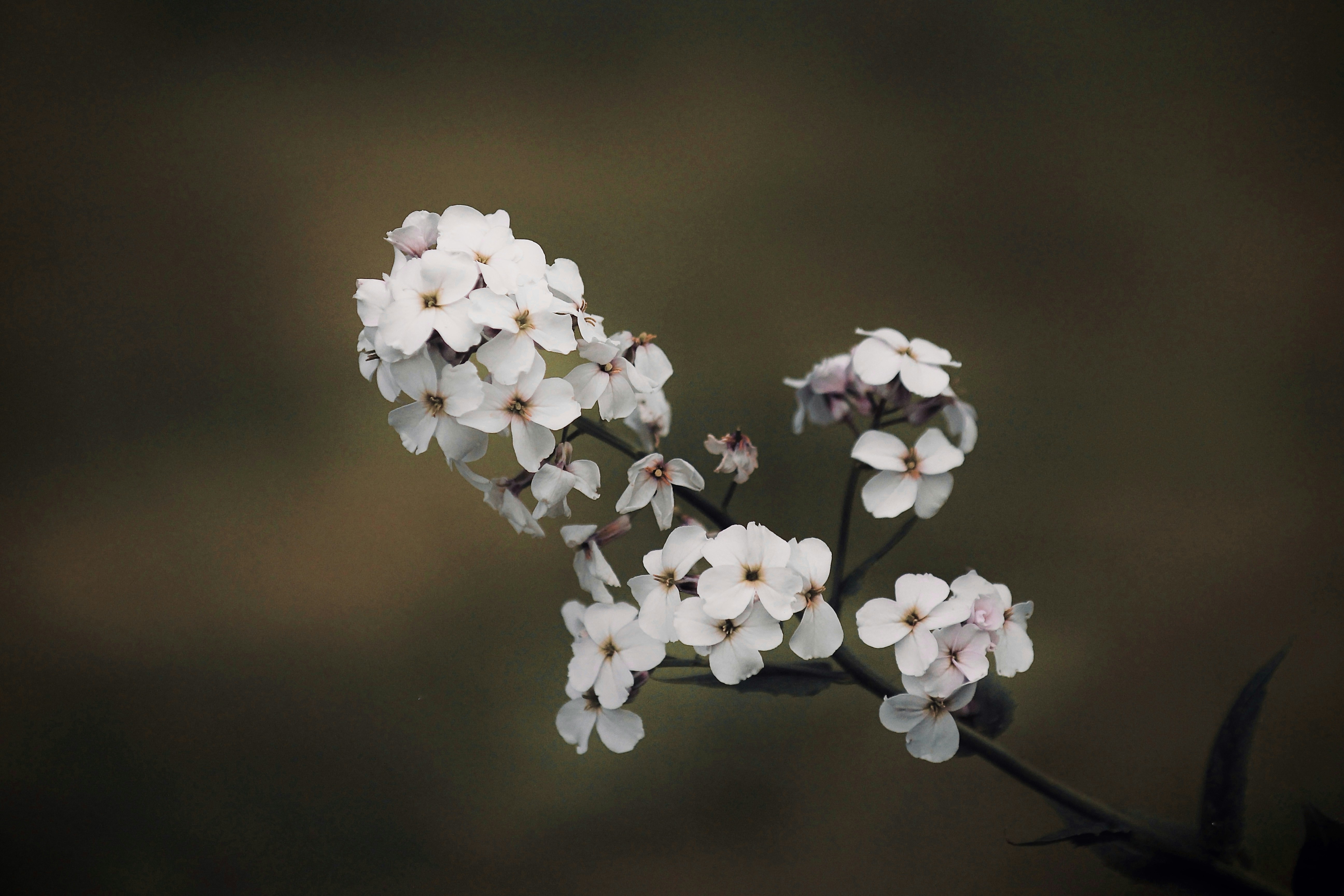 Photo by kristinokarlsen