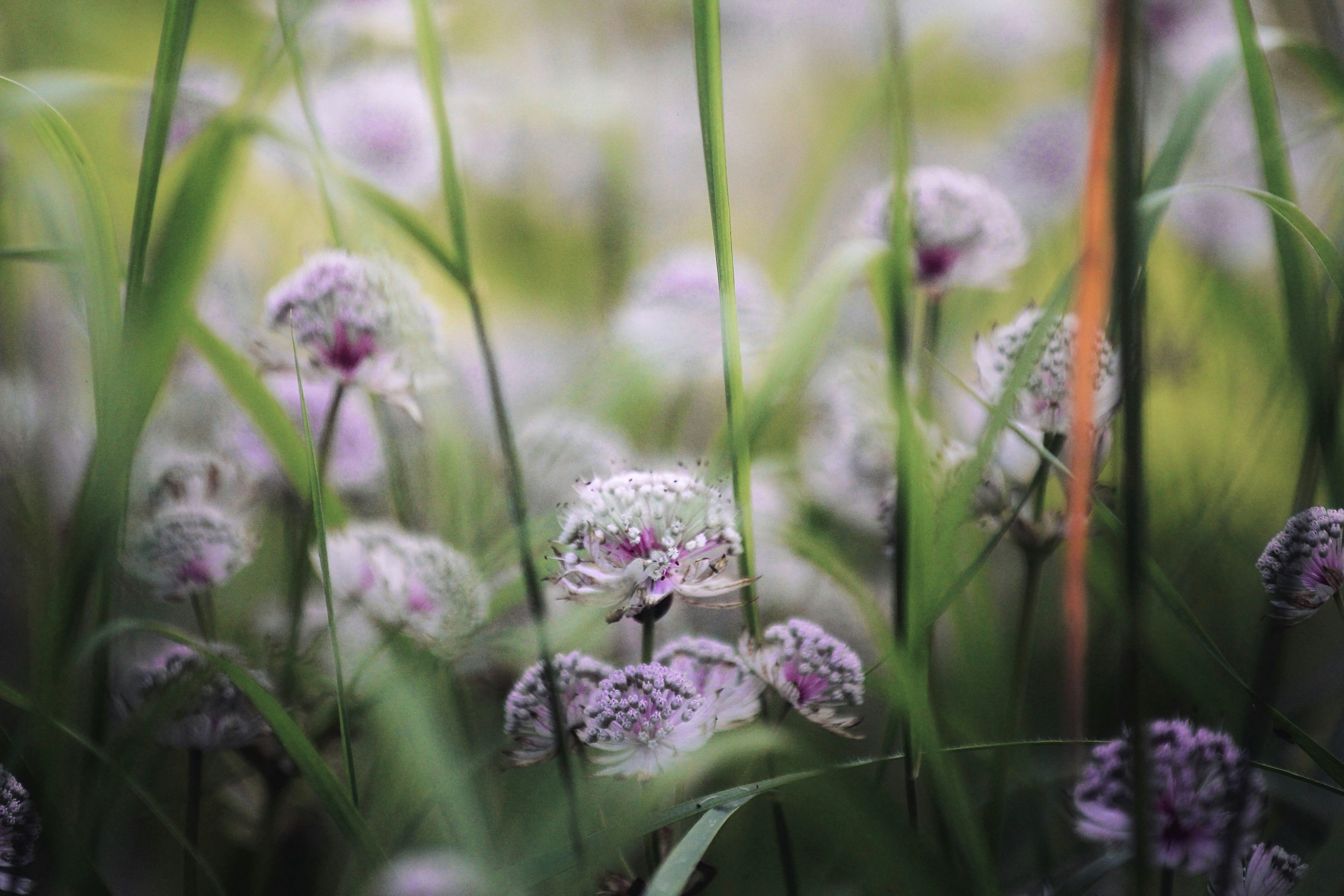 Photo by kristinokarlsen