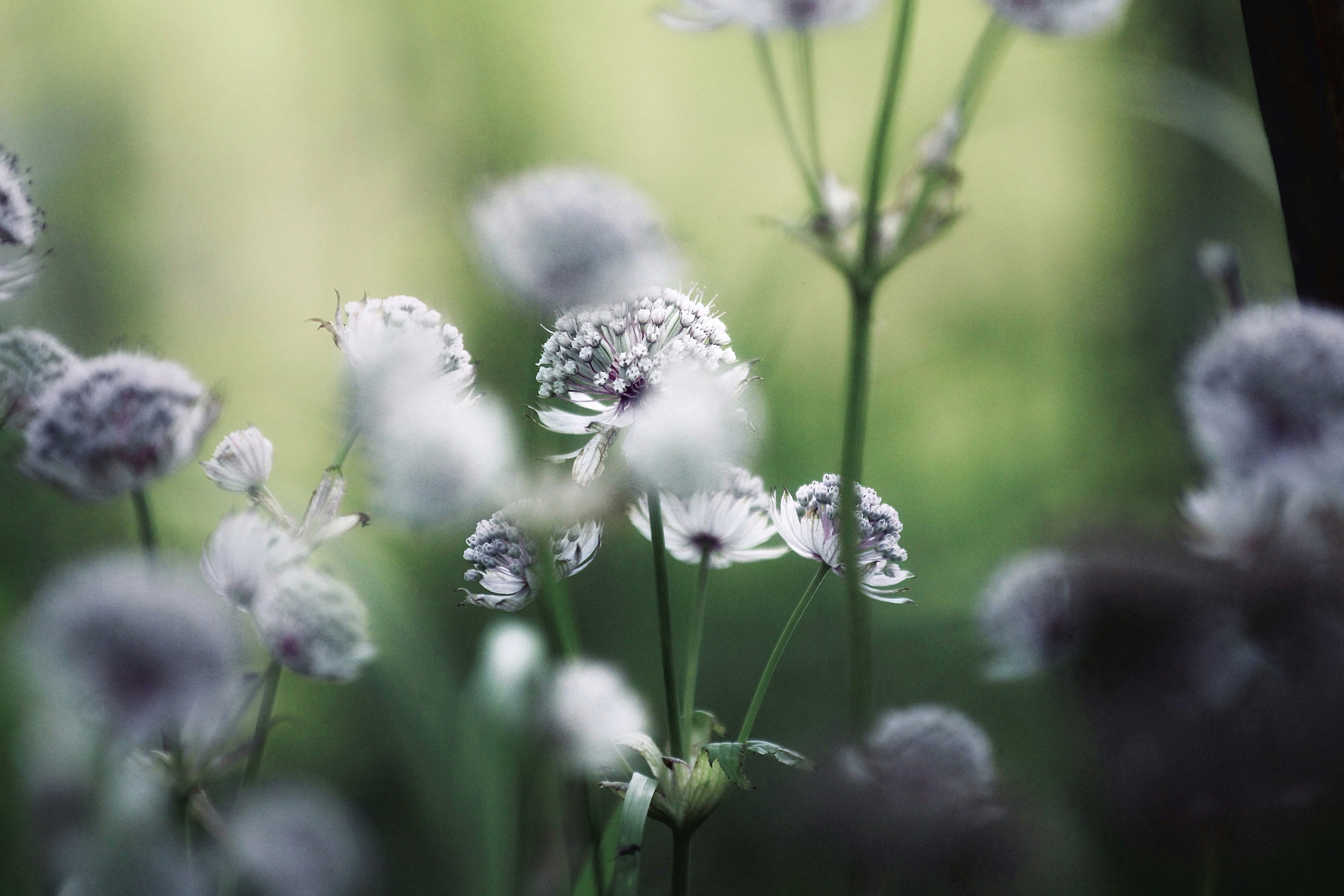 Photo by kristinokarlsen