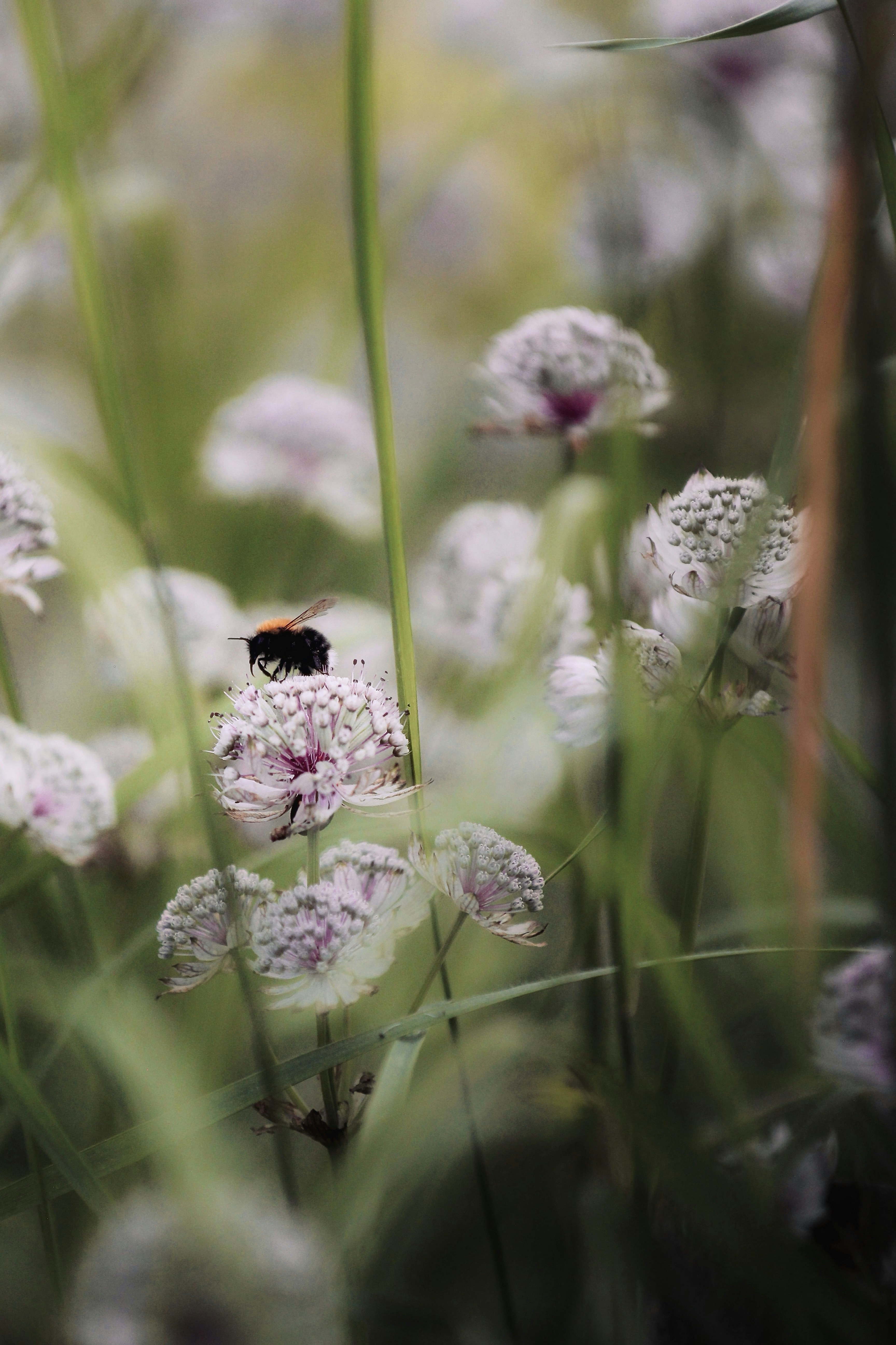 Photo by kristinokarlsen