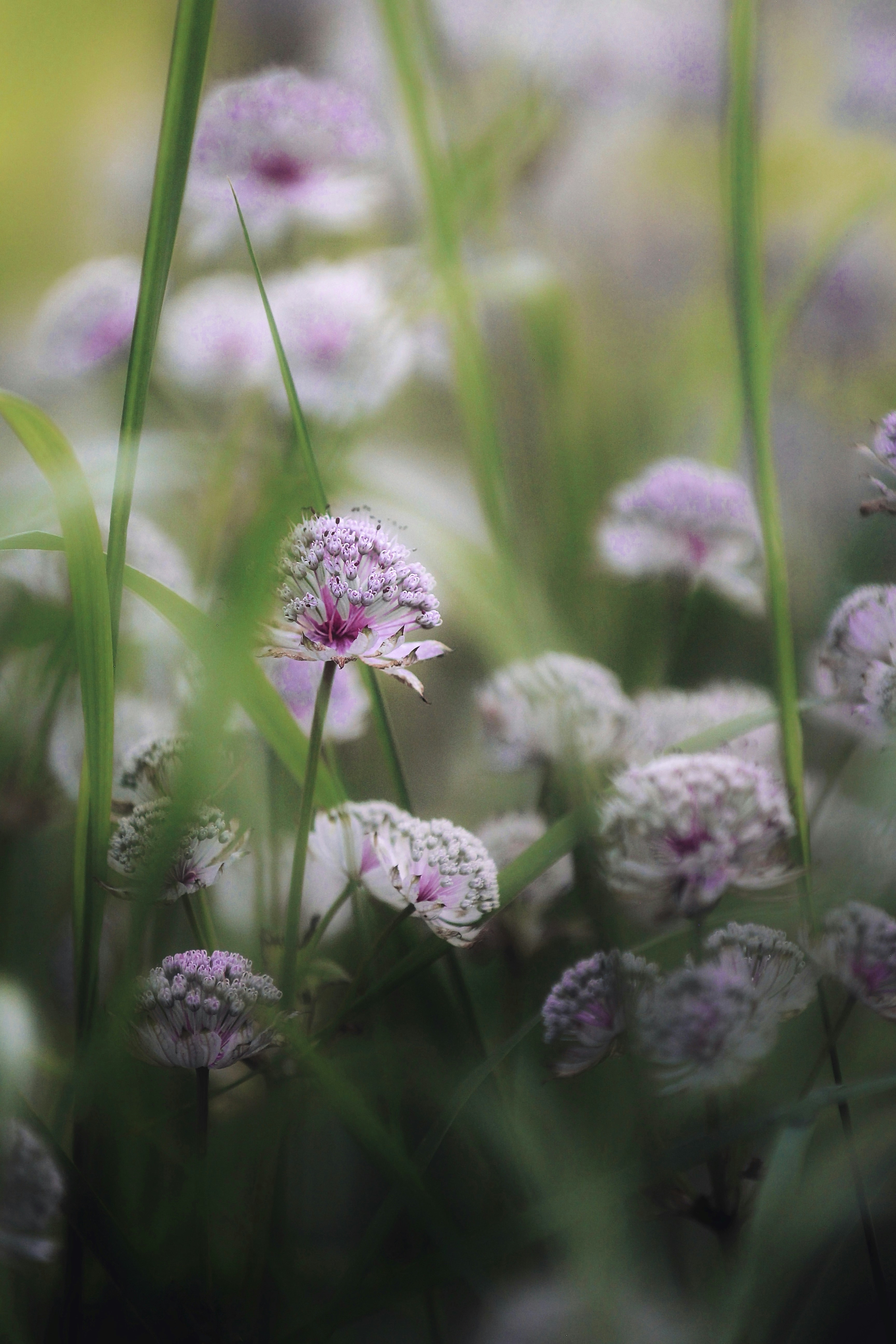 Photo by kristinokarlsen