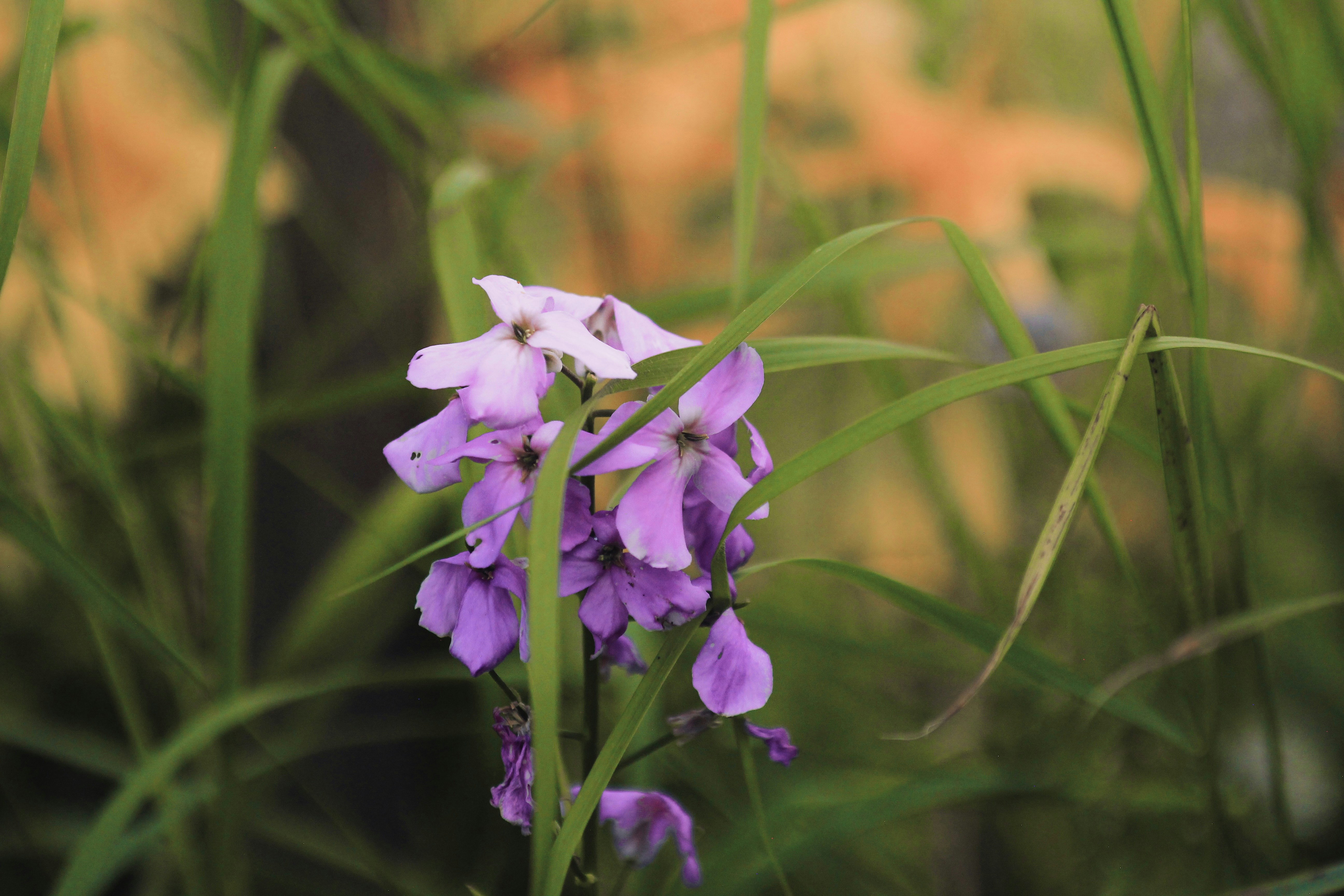 Photo by kristinokarlsen