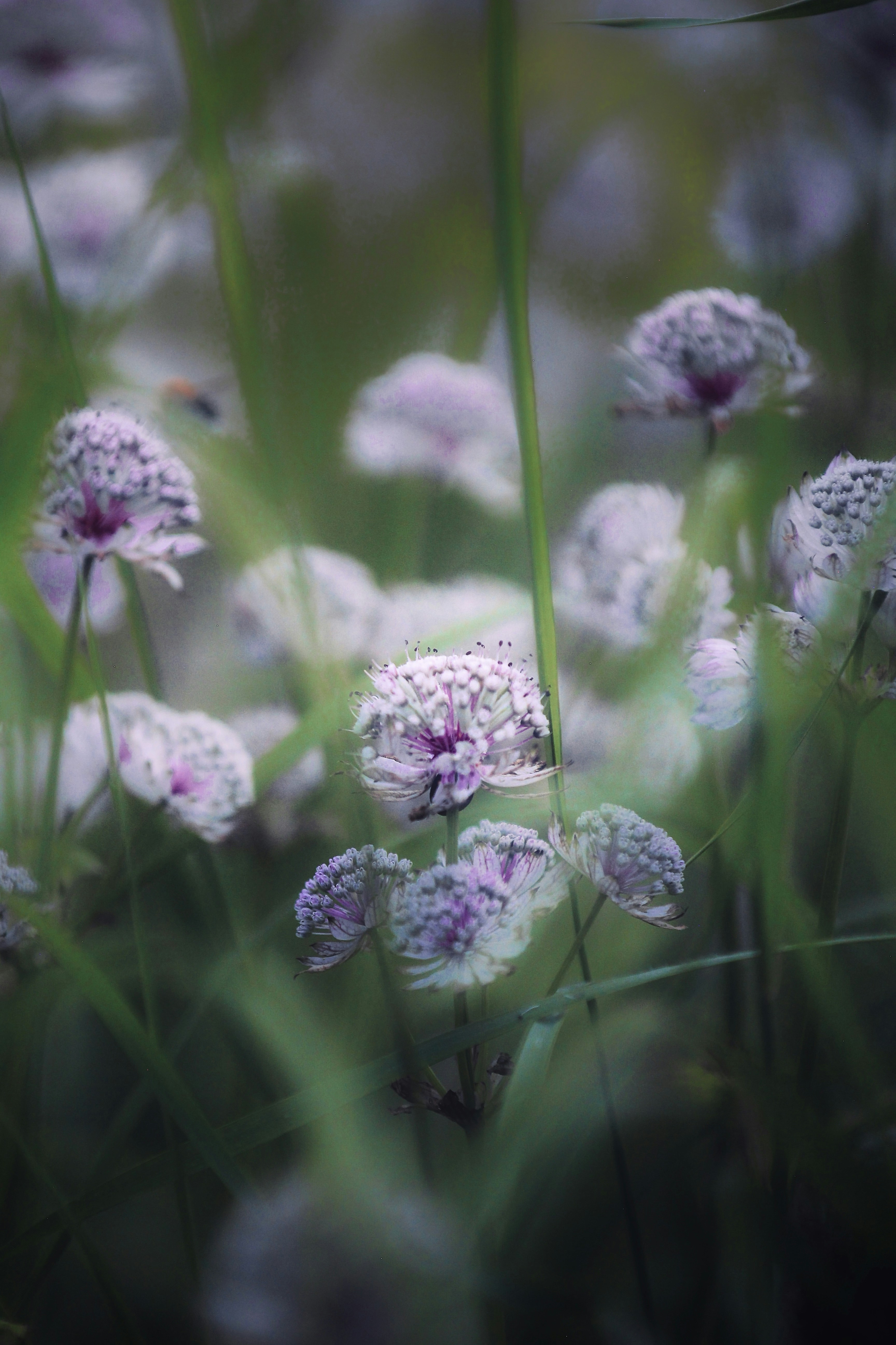 Photo by kristinokarlsen