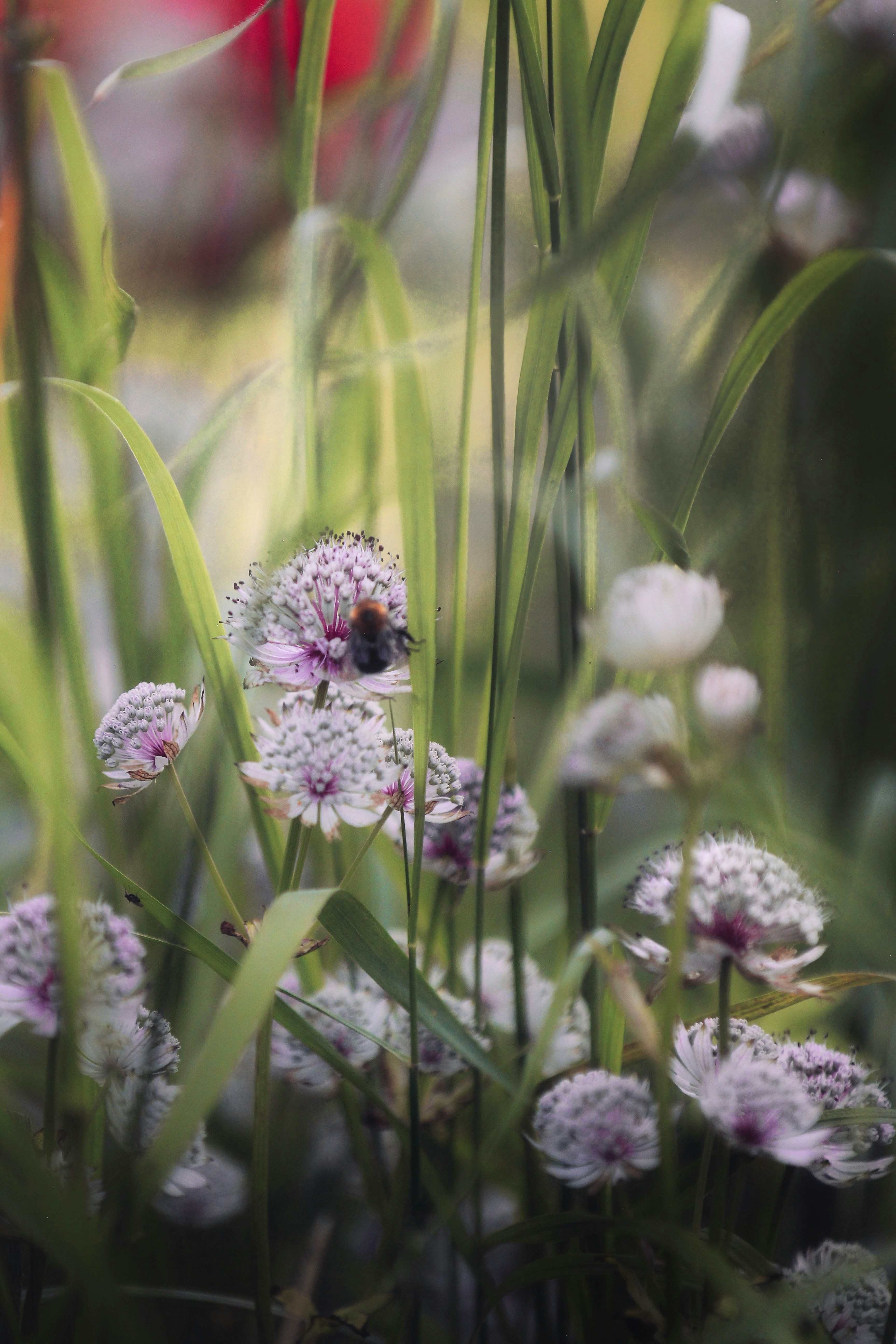 Photo by kristinokarlsen