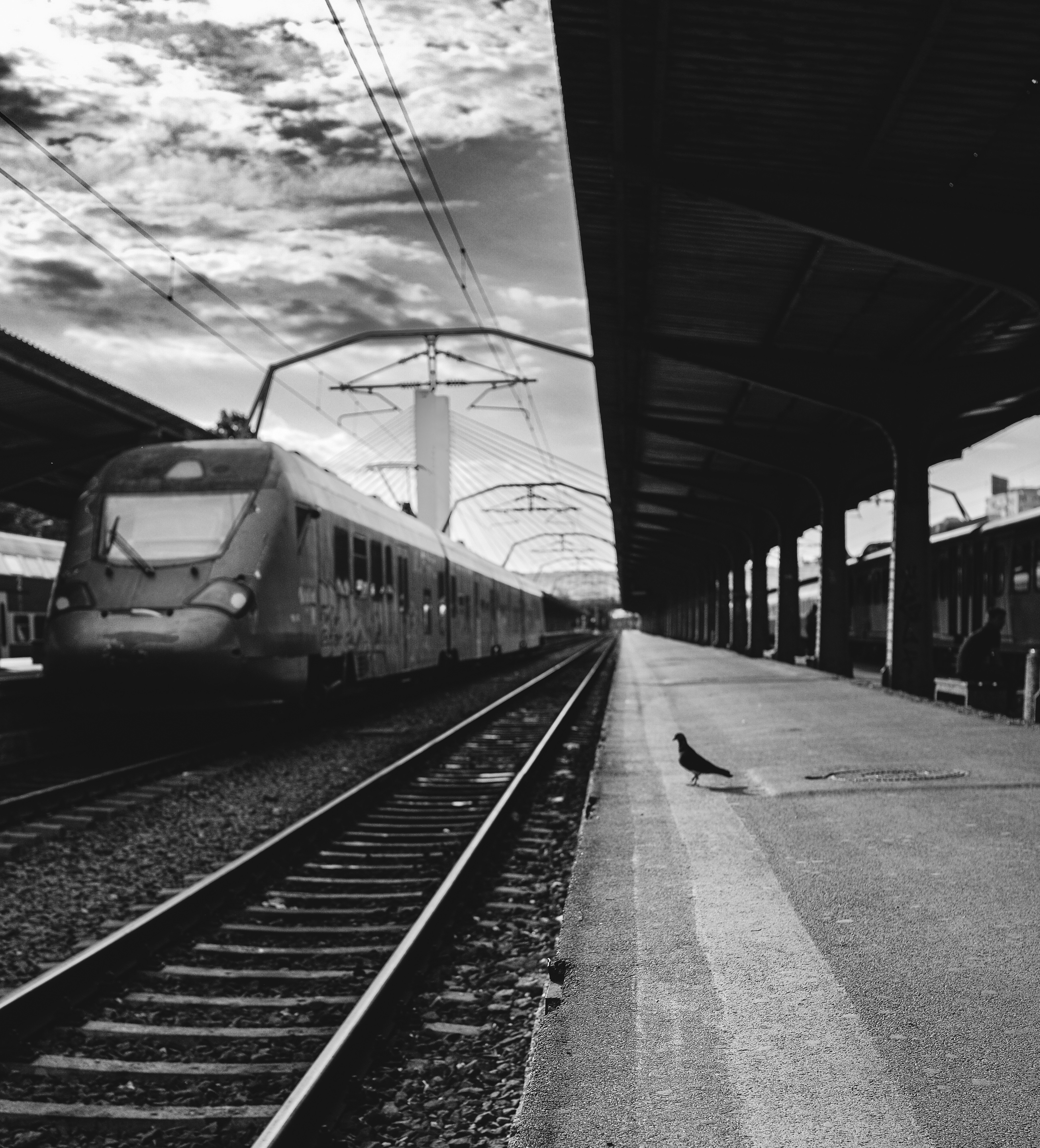 Photo by bijamonte