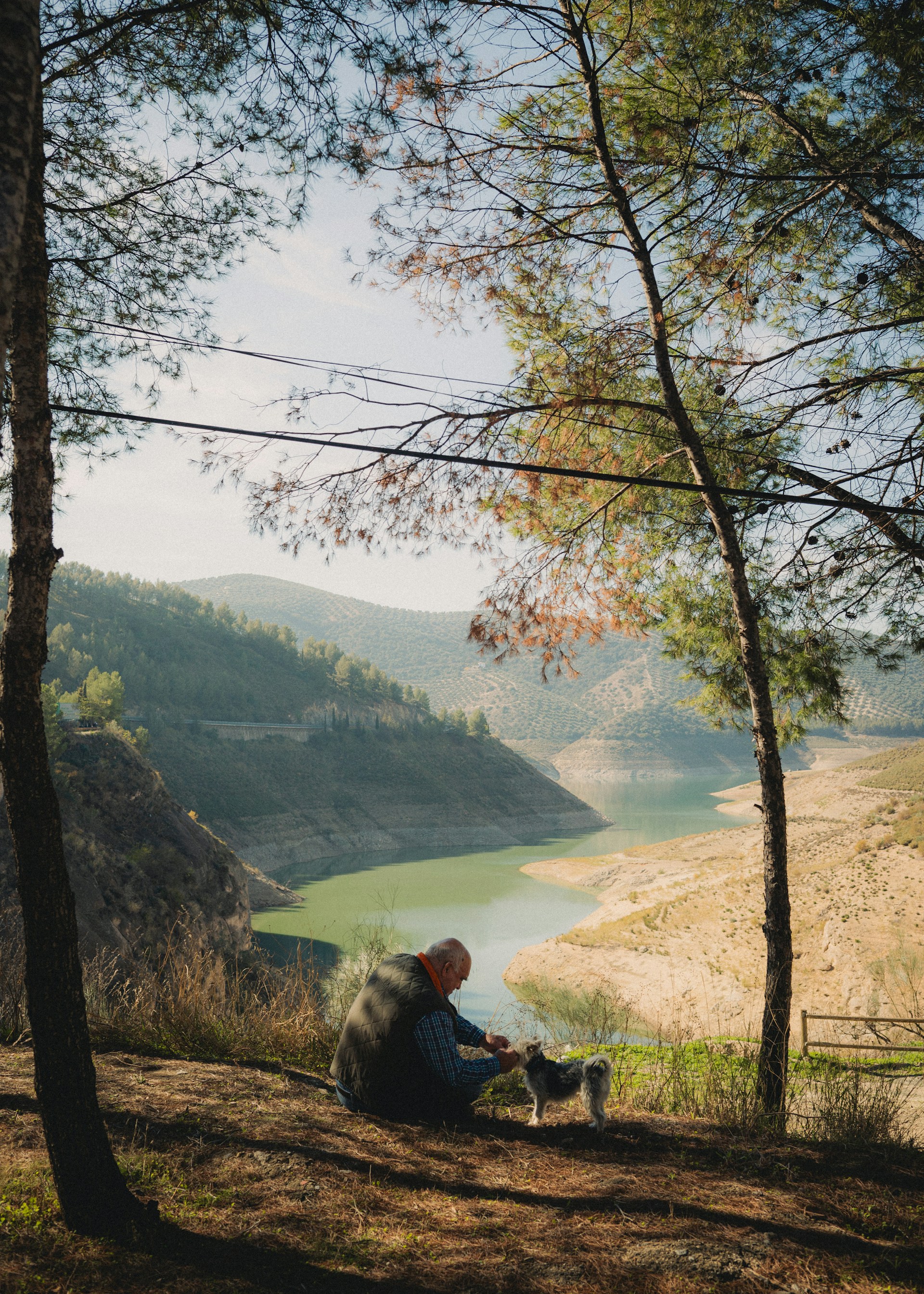 Man and dog sit on hill overlooking lake.