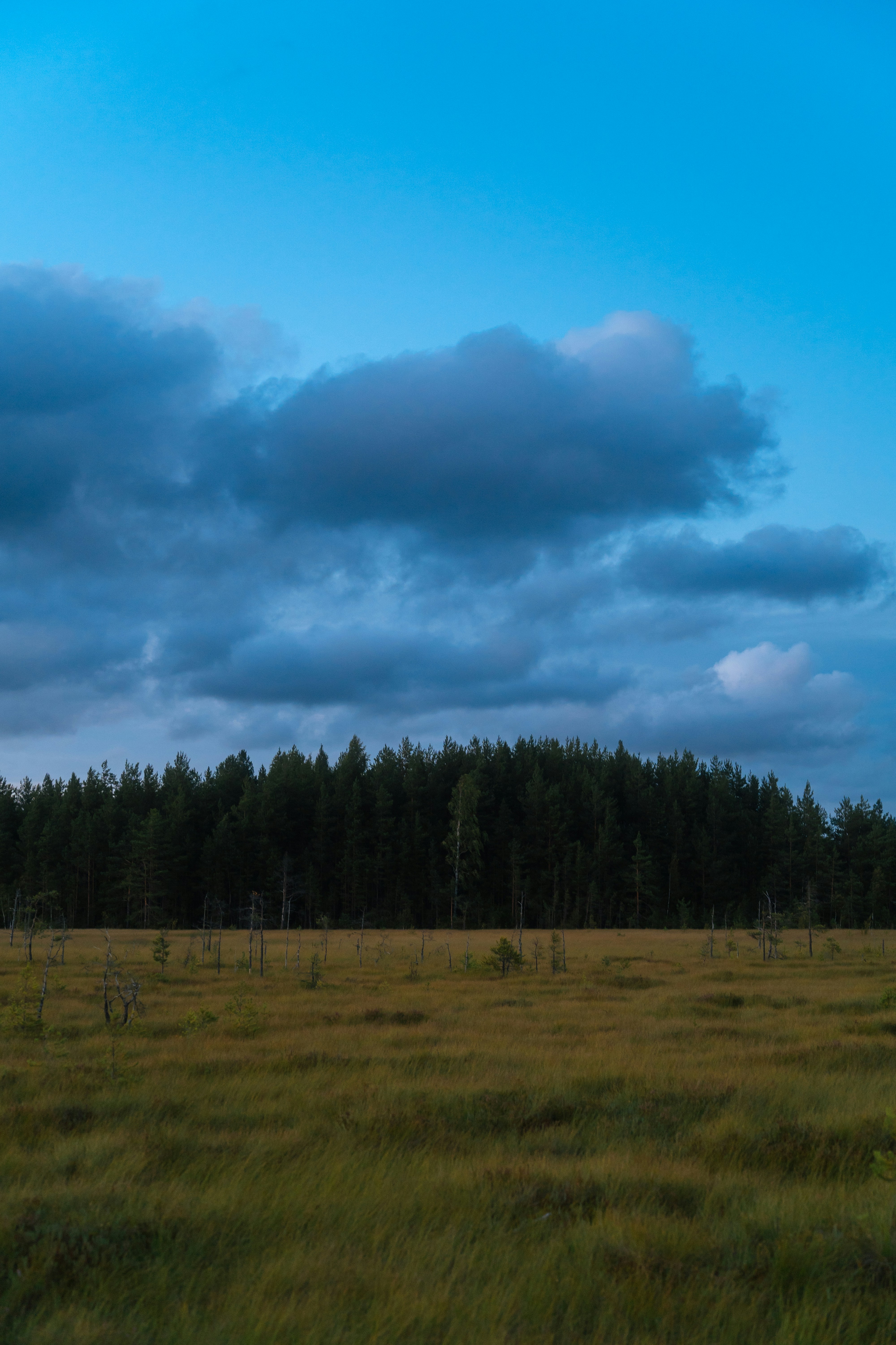 photo-1758220586126-224141954c2e