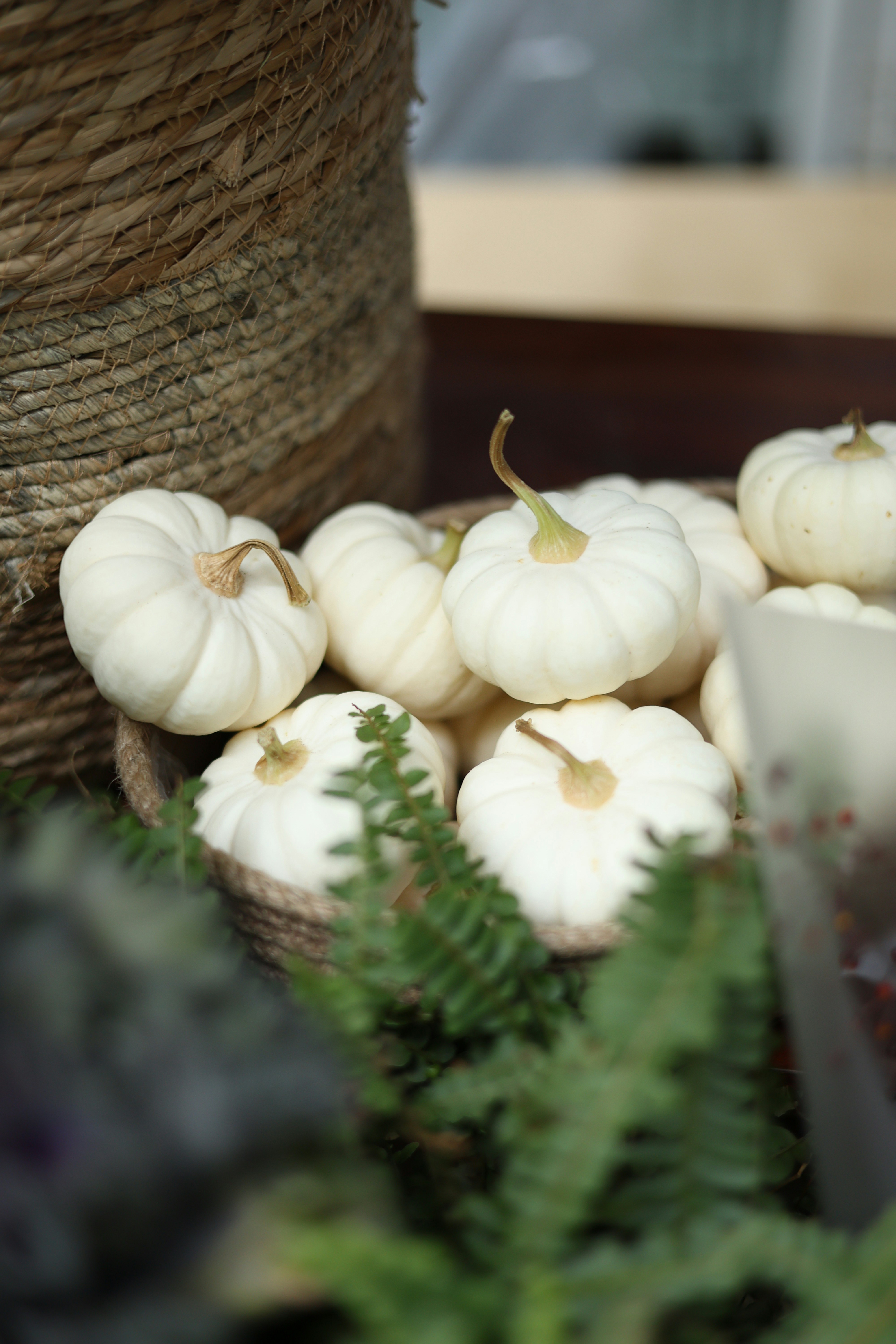Small white pumpkins arranged in a basket with greenery.