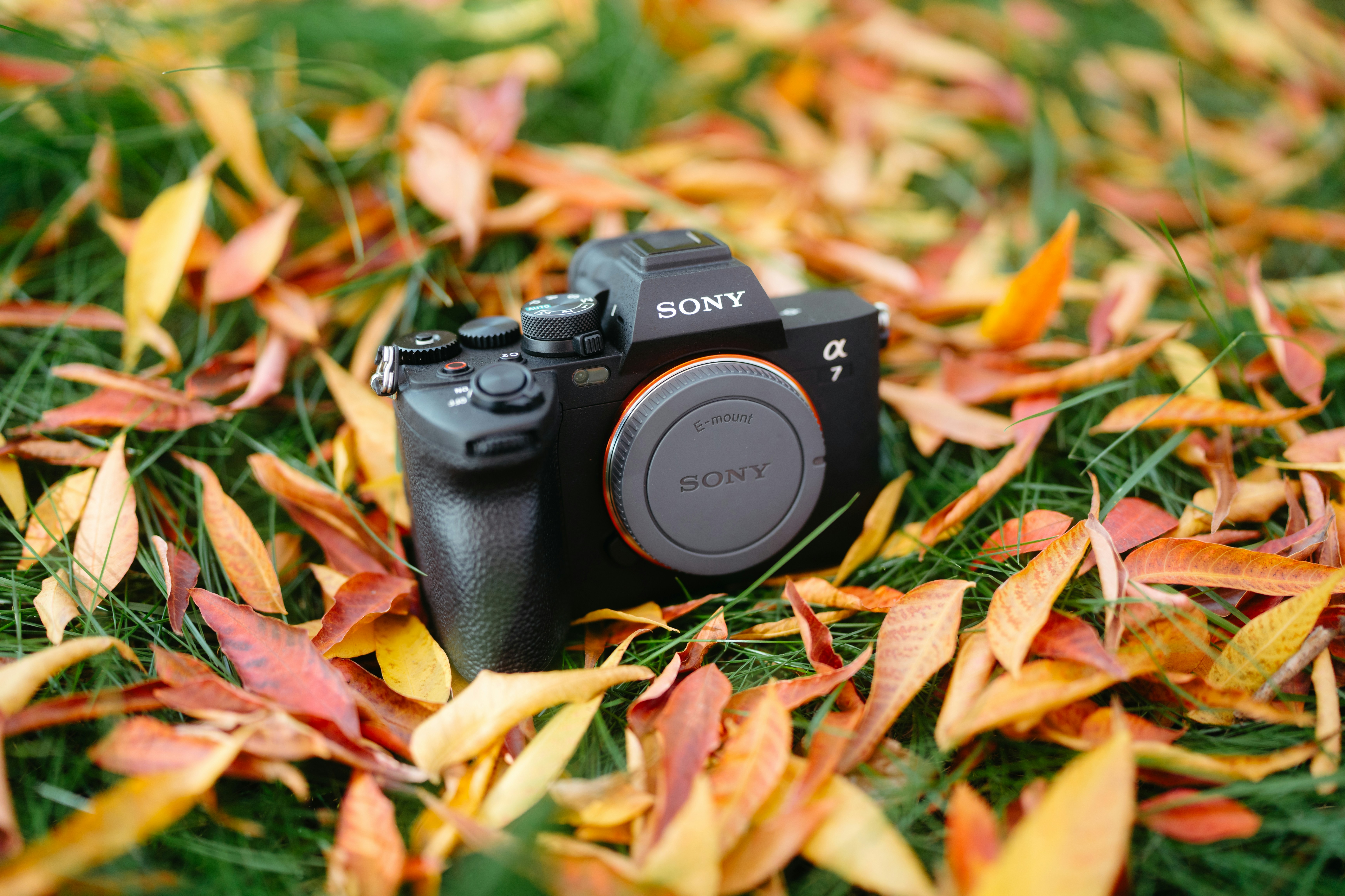 camera gear landscape, wallpaper, Carrying Camera Gear: Essential Safety Tips 3