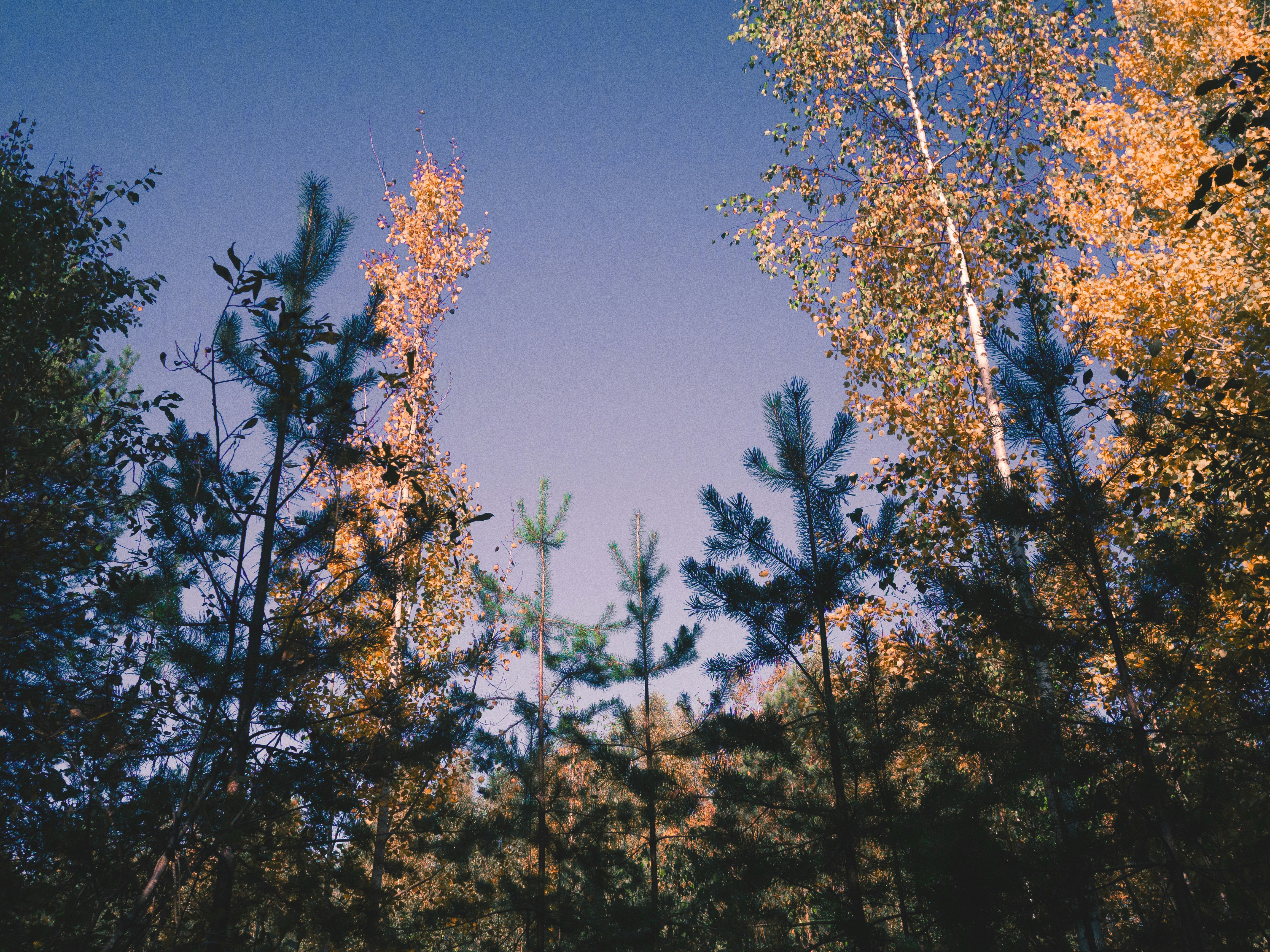 Photo by tyan_aleksandra