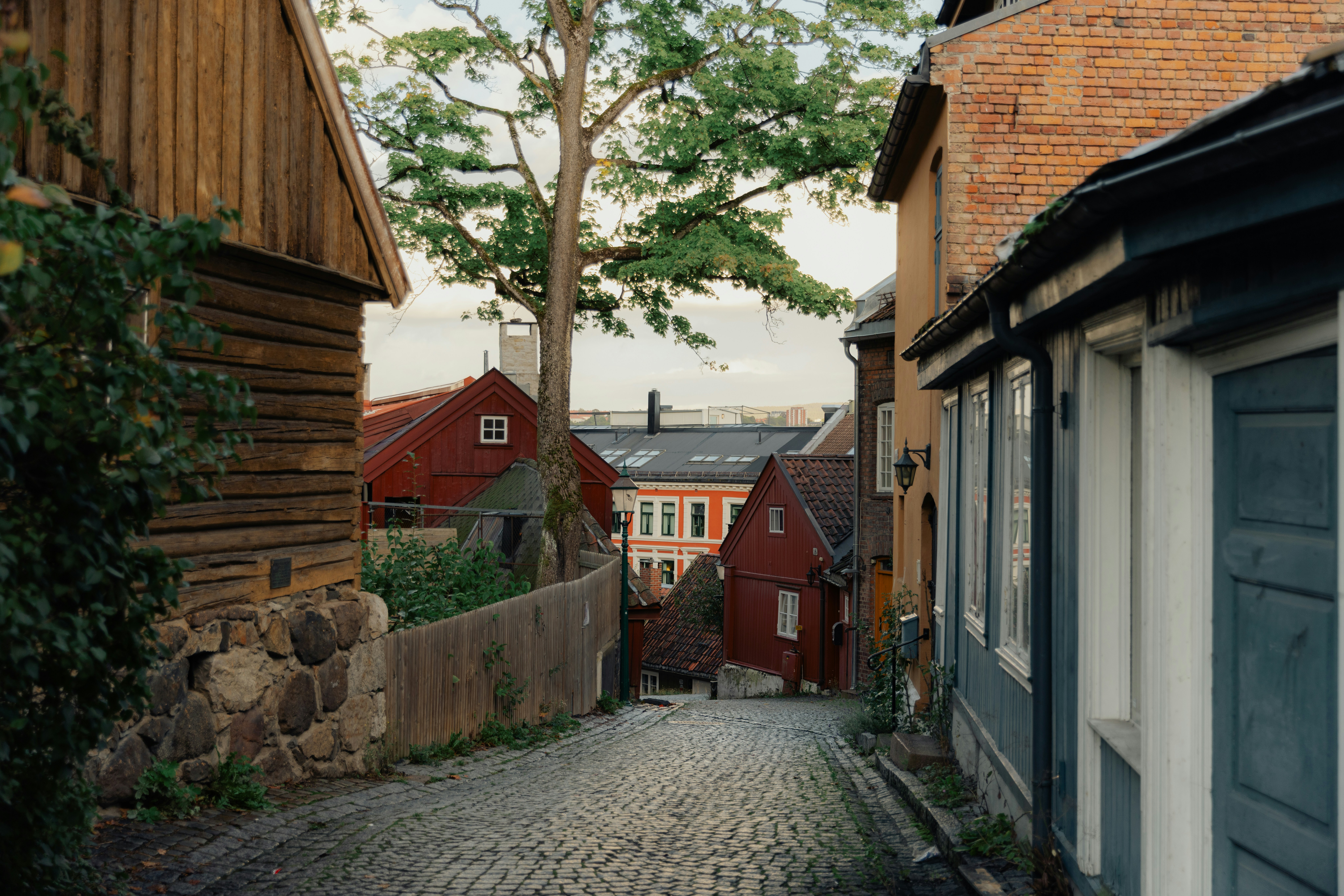 Comprehending superfake handbags: An Educational Manual to the Luxury Replica Trend