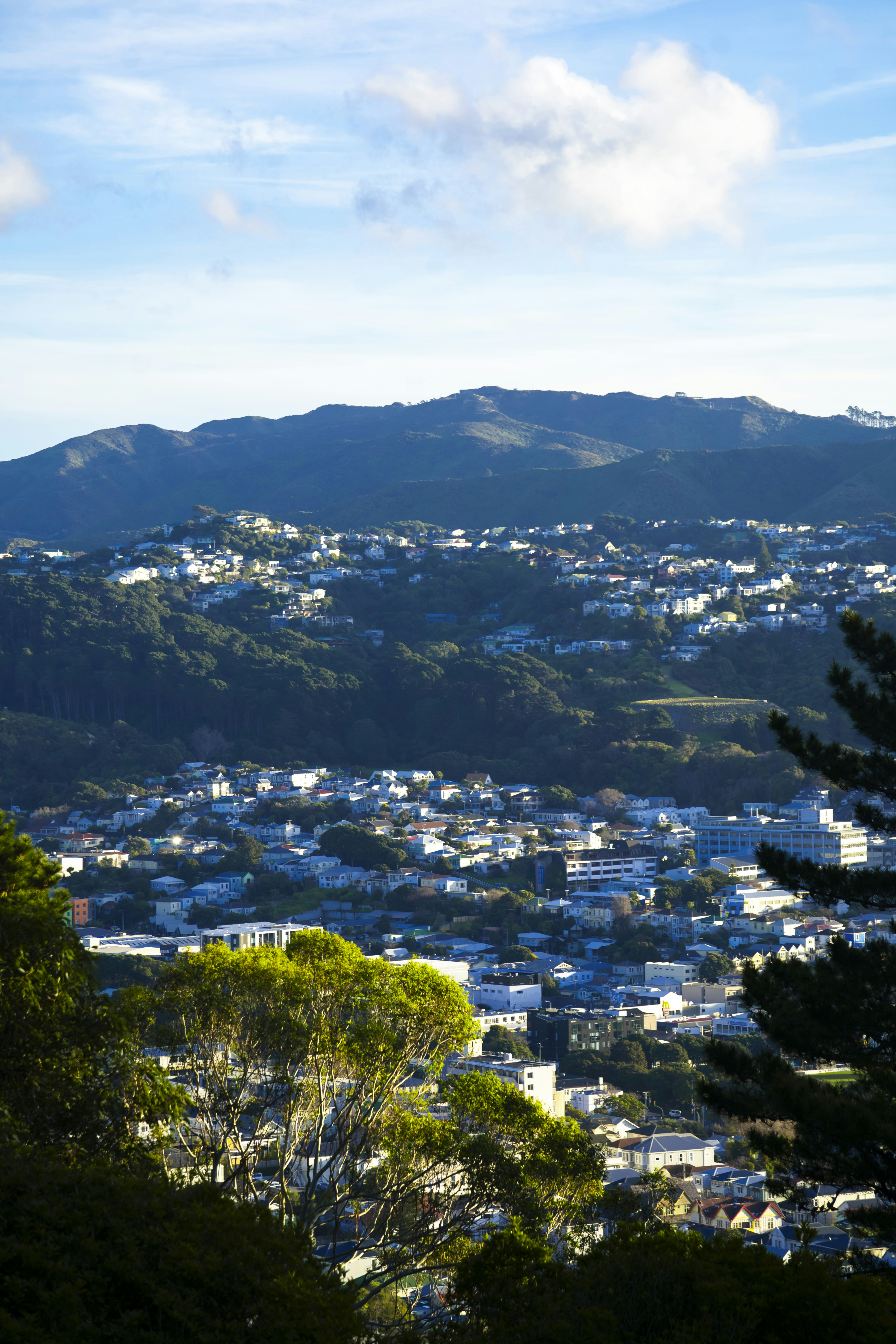 City nestled in green hills under blue sky