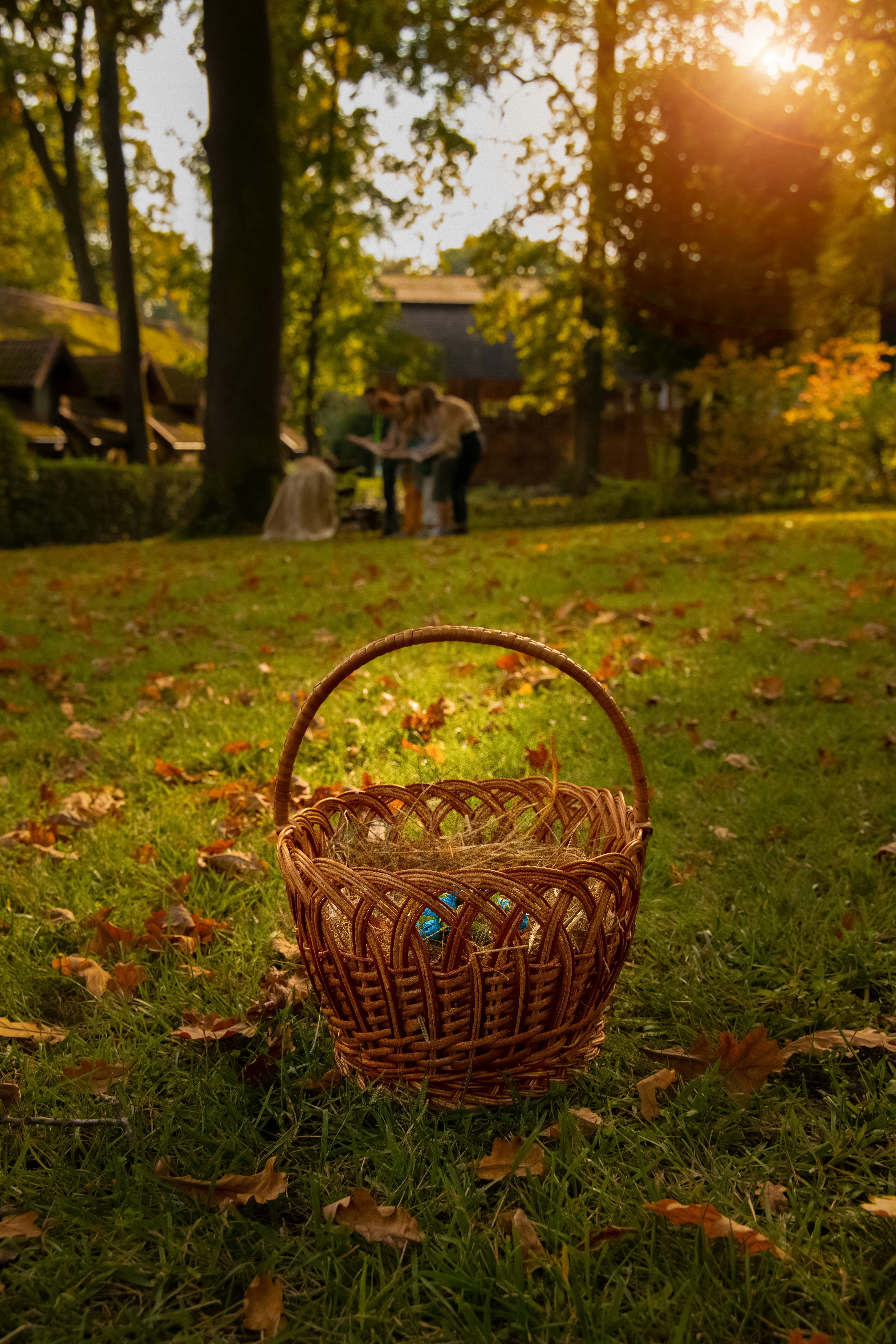 Wicker basket on grass with autumn leaves and people.