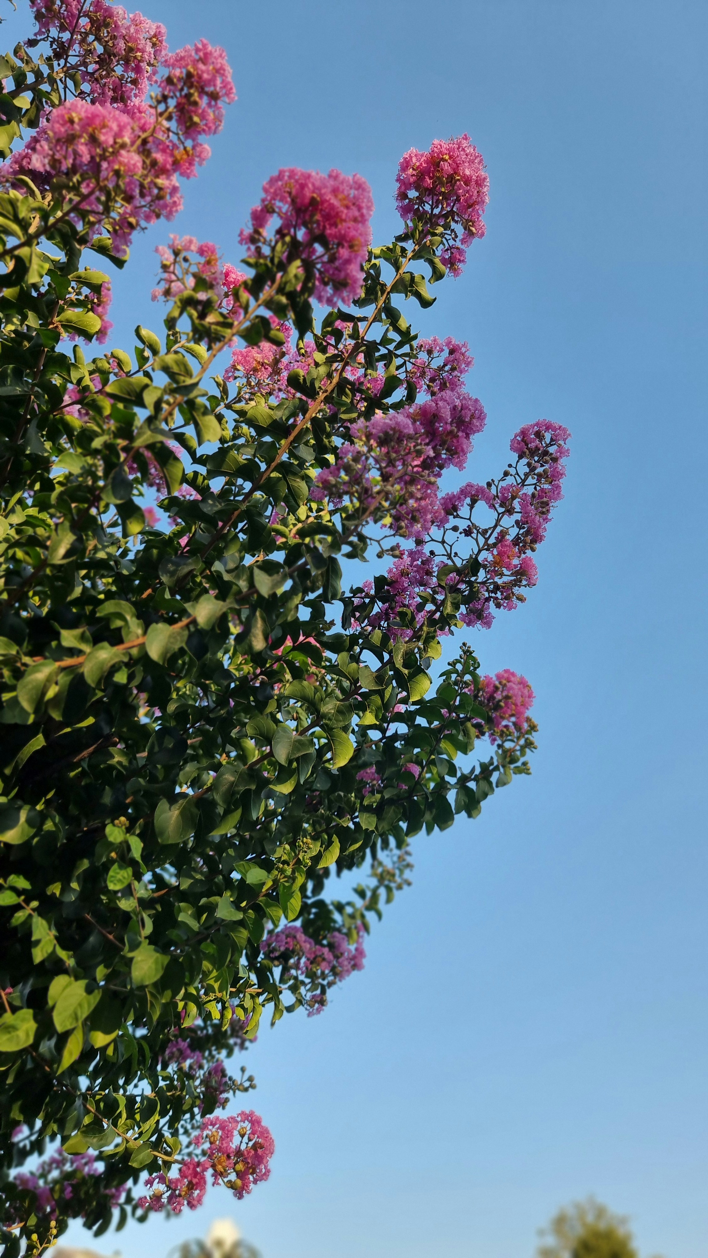 Photo by sara_pashakhanlou