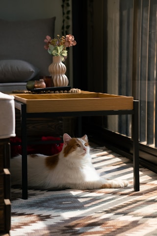 A cat rests under a table on a patterned rug.