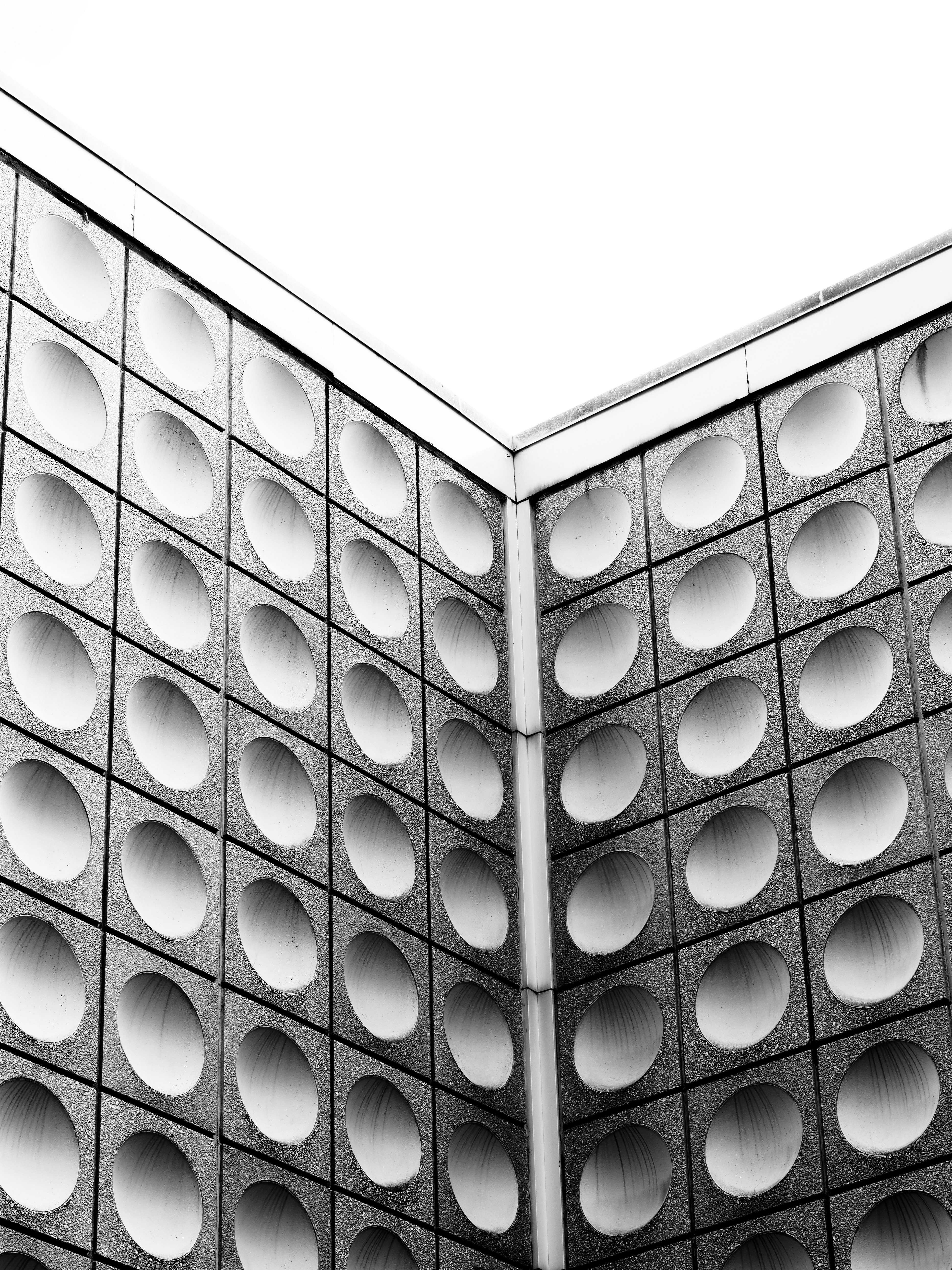 Photo by sschusterphotoart