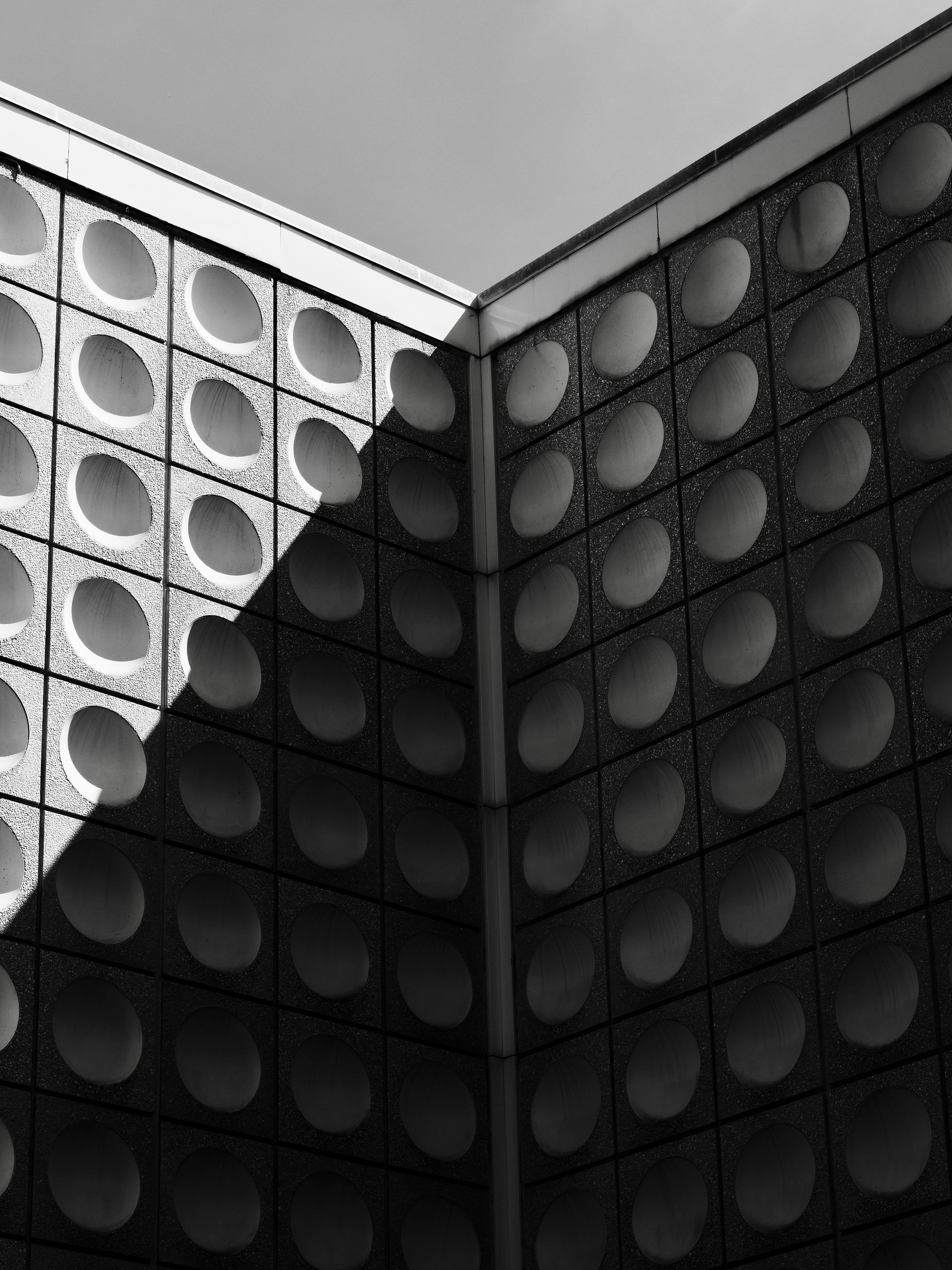 Photo by sschusterphotoart