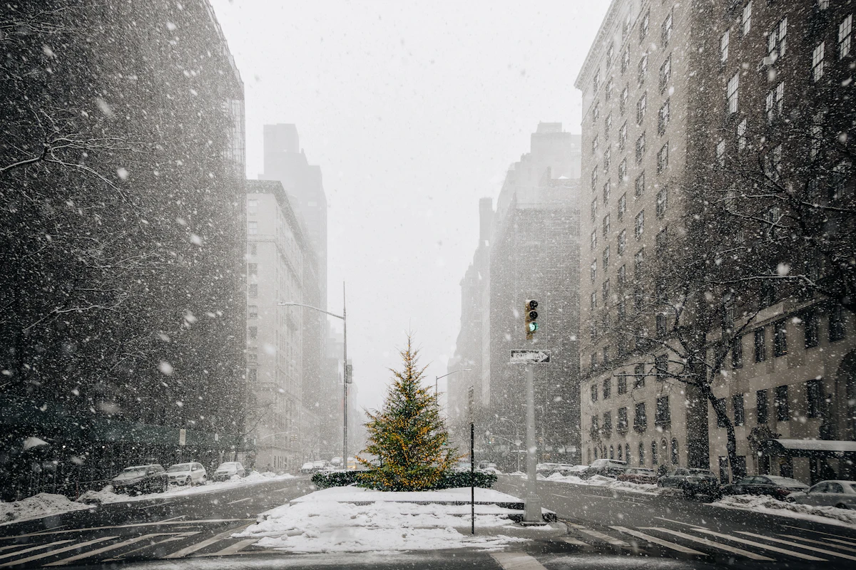 Park Avenue Christmas tree in the snow