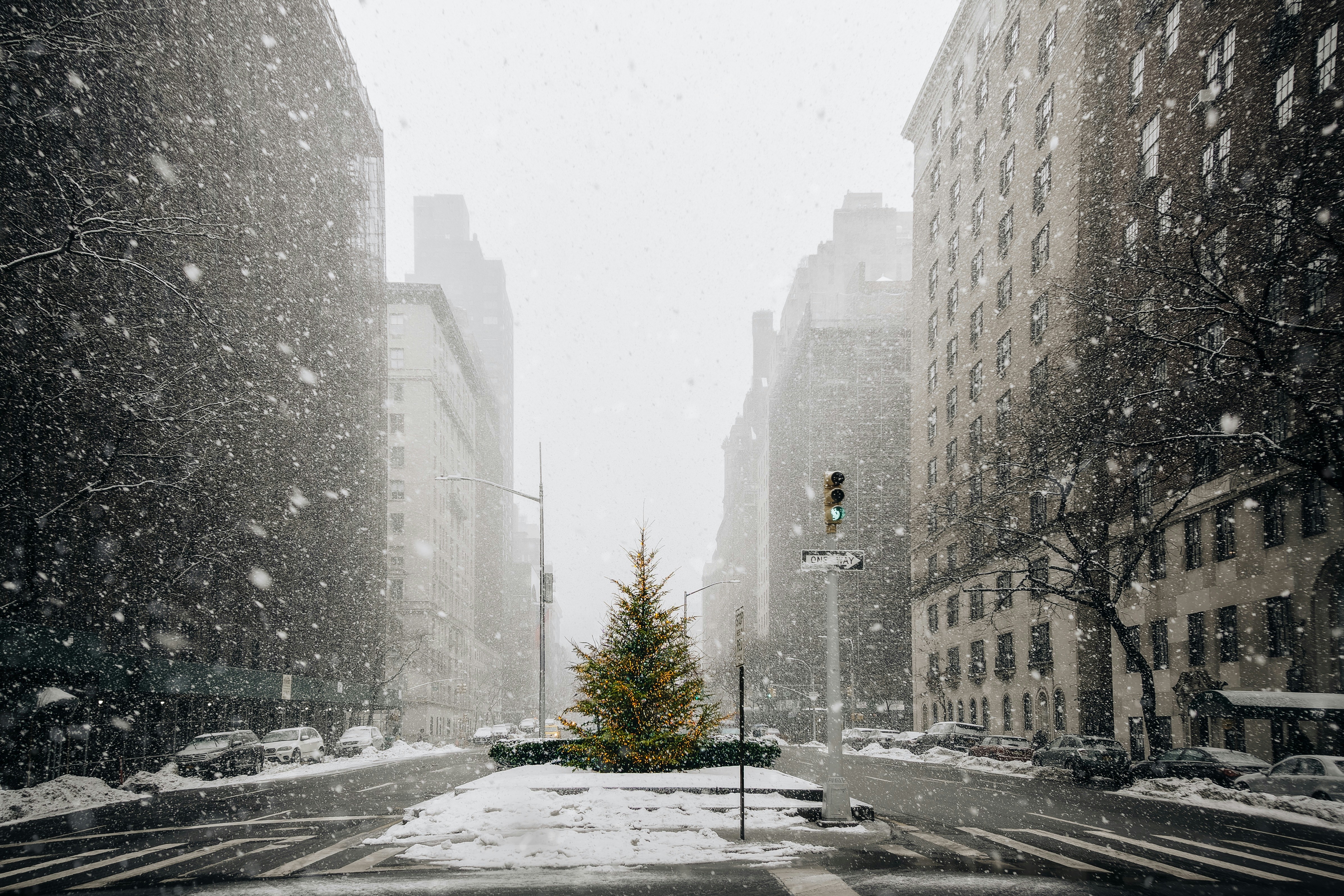 A lone Christmas tree decorated with glowing lights stands in the middle of a snowy Park Avenue in New York City, surrounded by tall buildings and falling snowflakes on a quiet winter day.