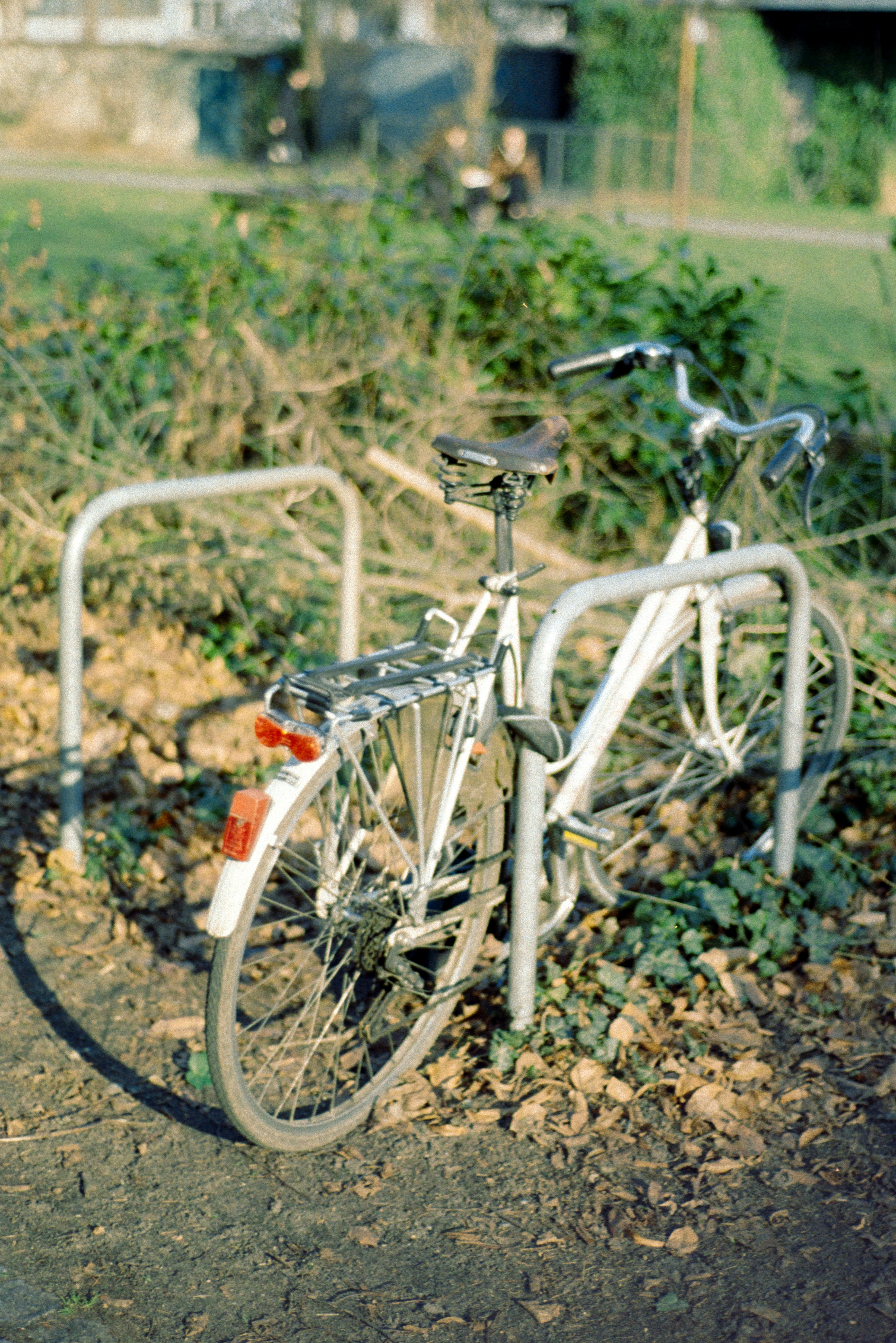 Photo by vincenzodionisio