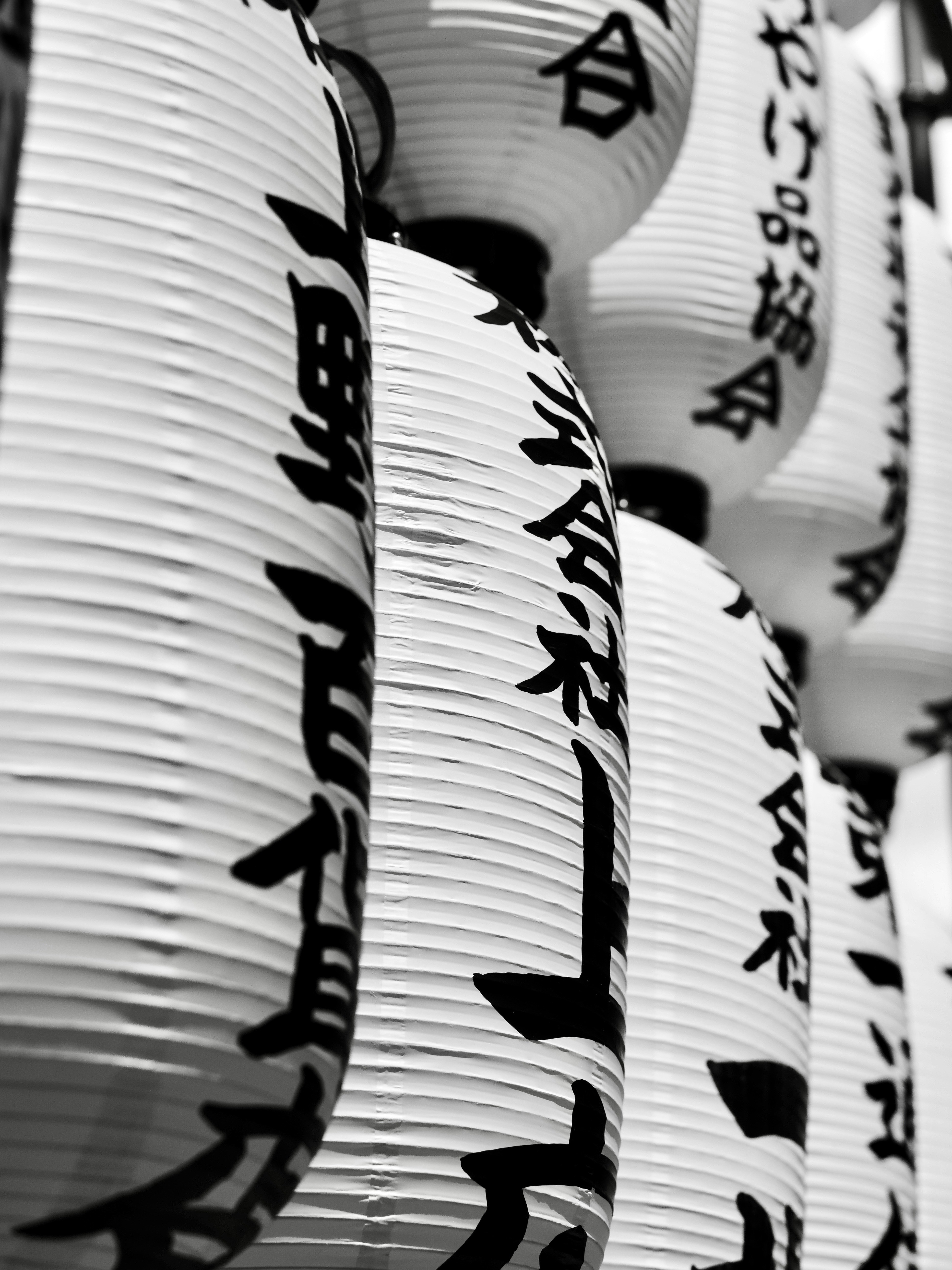 White paper lanterns with japanese writing hang in a row.