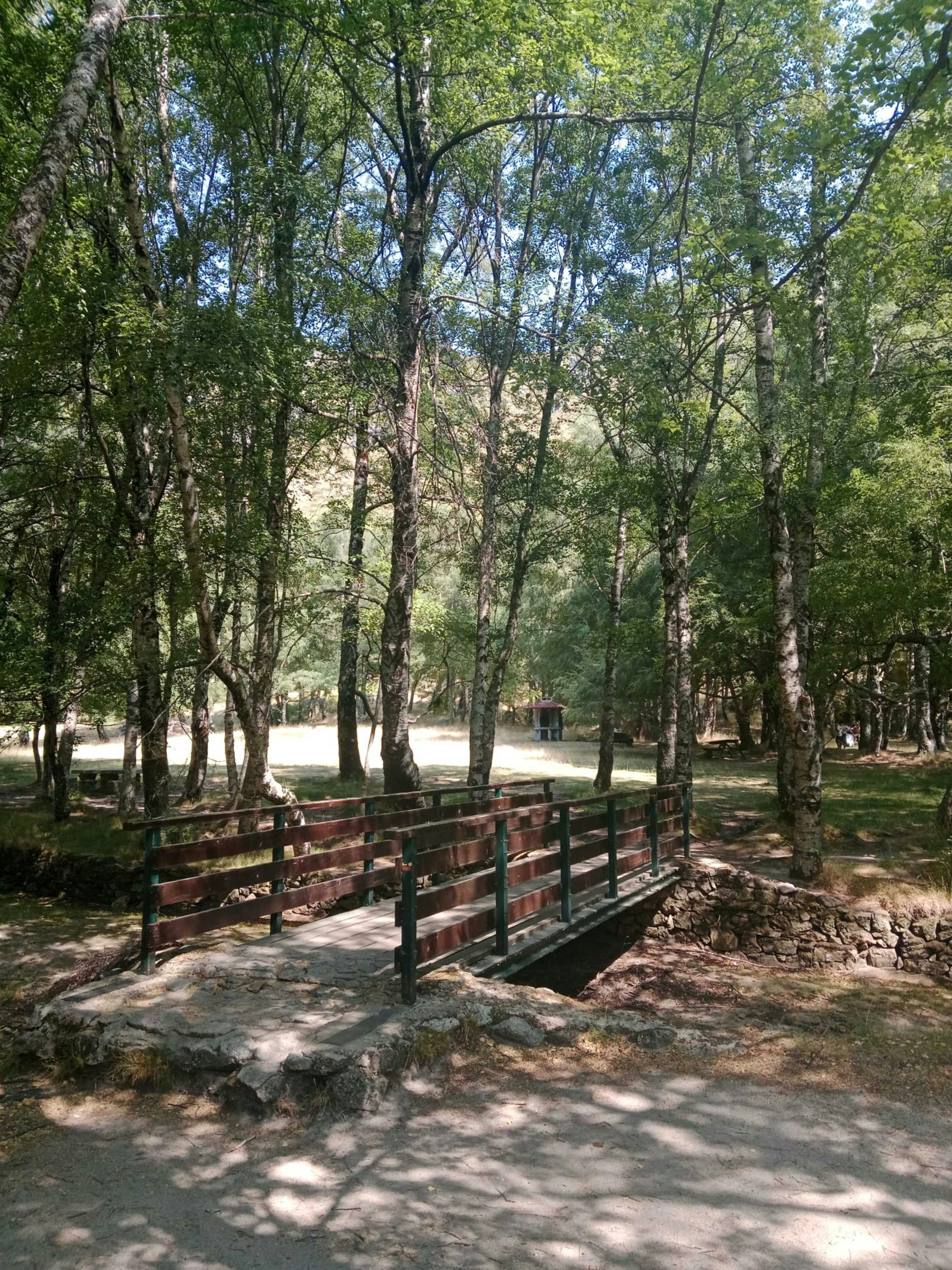 Photo by paula_serrano